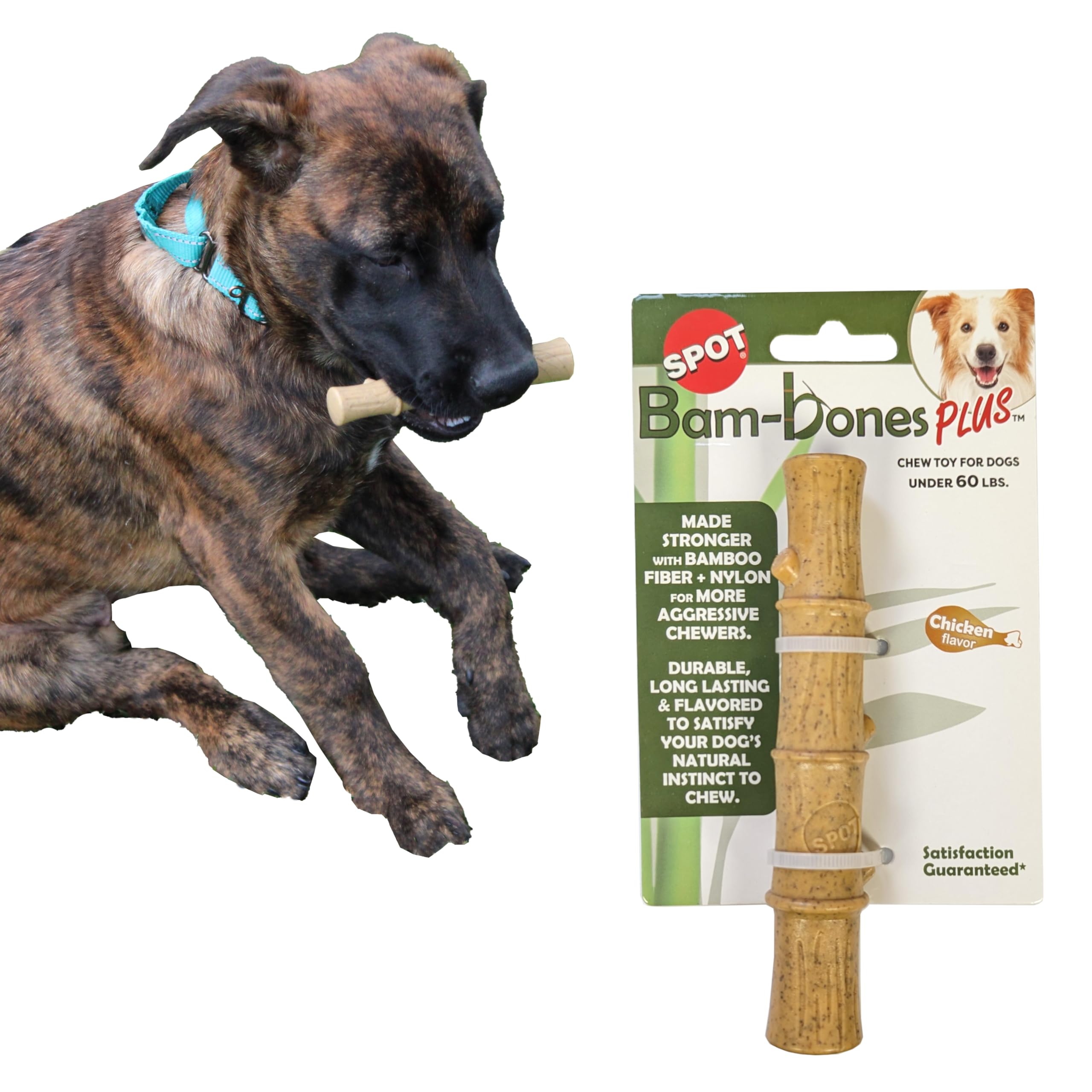 Ethical Pet Bambone Plus Bamboo Stick Dog Chew Toy, 525 Inch, Non-Splintering Alternative To Real Wood (690975)
