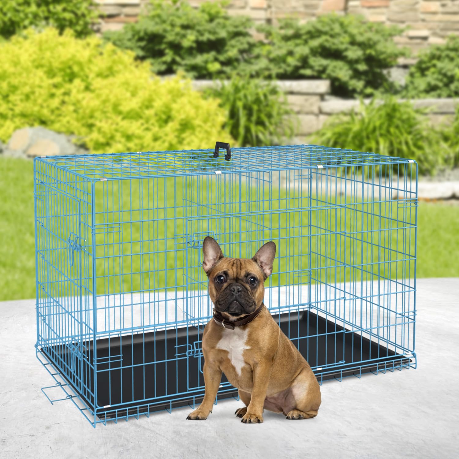 BestPet 30 Inch Dog Crates for Small Dogs Folding Mental Wire Crates Dog Kennels Outdoor and Indoor Pet Dog Cage Crate with Doub