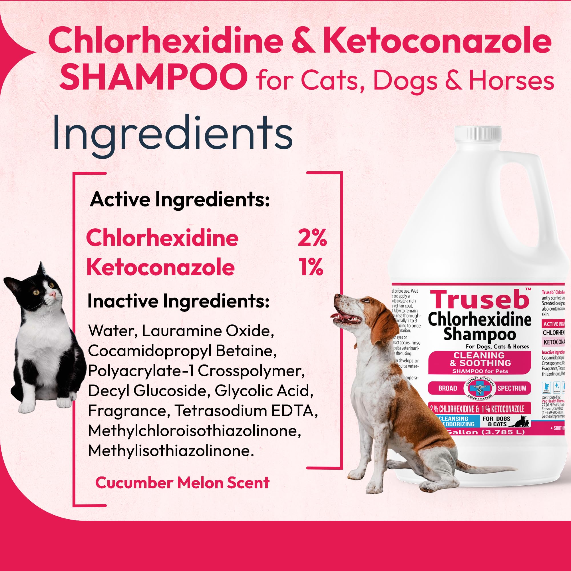 Truseb Topical Ketoconazole And Chlorhexidine Shampoo For Dogs, Cats & Horses Pleasantly Scented With A Cucumber Melon Scent Wit