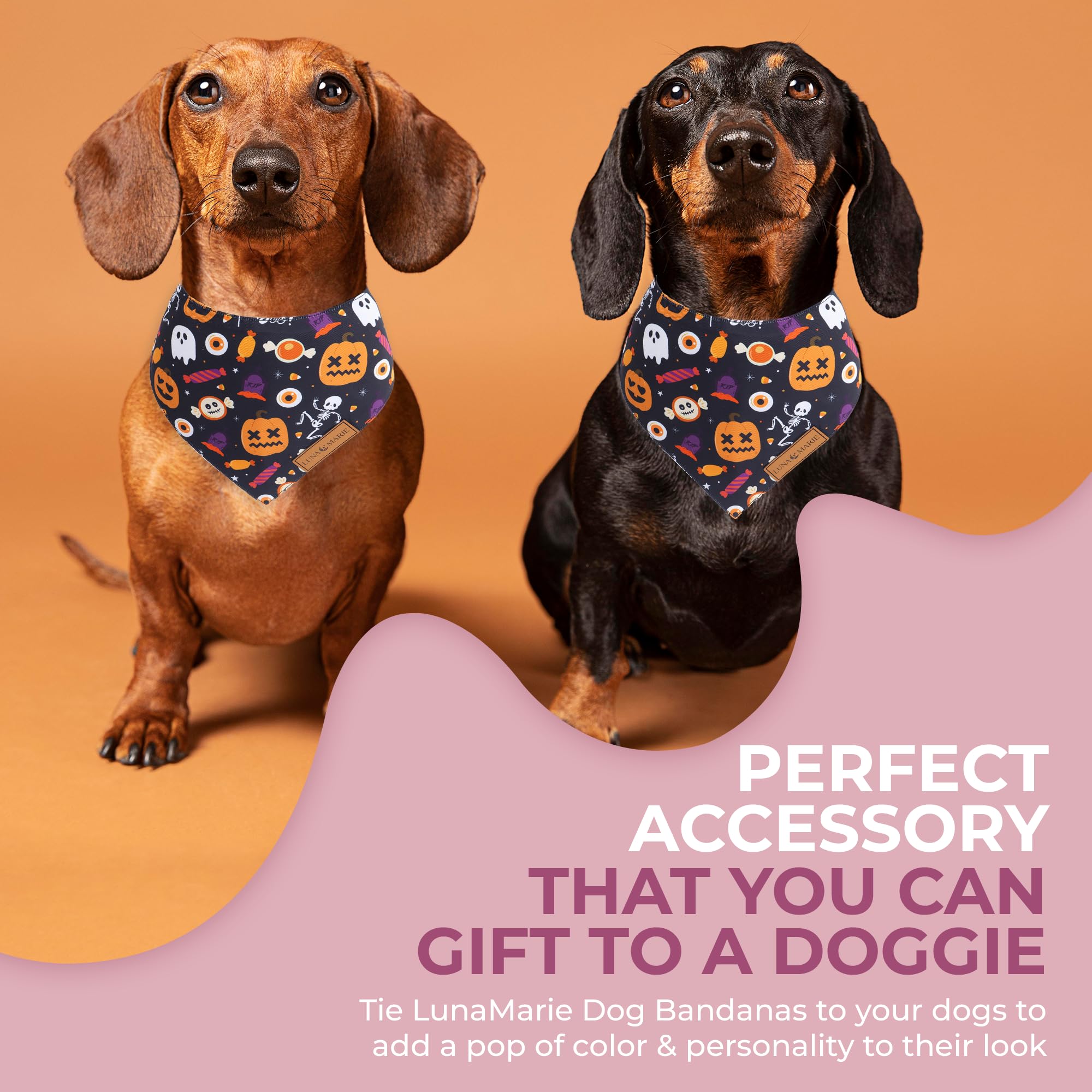 Lunamarie - Luxury Cat And Dog Bandanas - Halloween Designs | Premium Silky Poly Fabric | 100% Handmade Custom Shape Dual Layered Small, Medium, Large Cat Scarf (Trick-Or-Treat, Medium)
