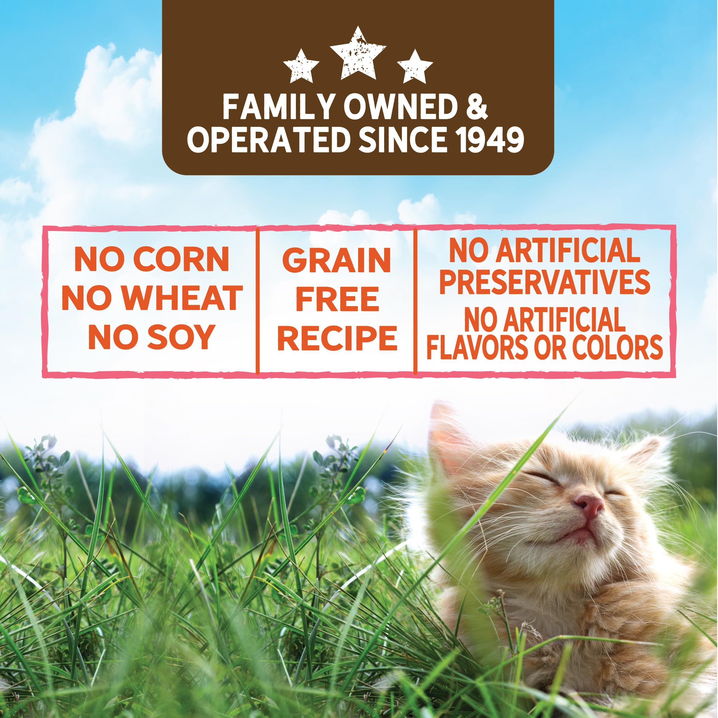 Evolve Grain Free Turkey Stew Wet Cat Food, 3 oz (24 Pack) - Nutrient-Rich with Veggies in Gravy
