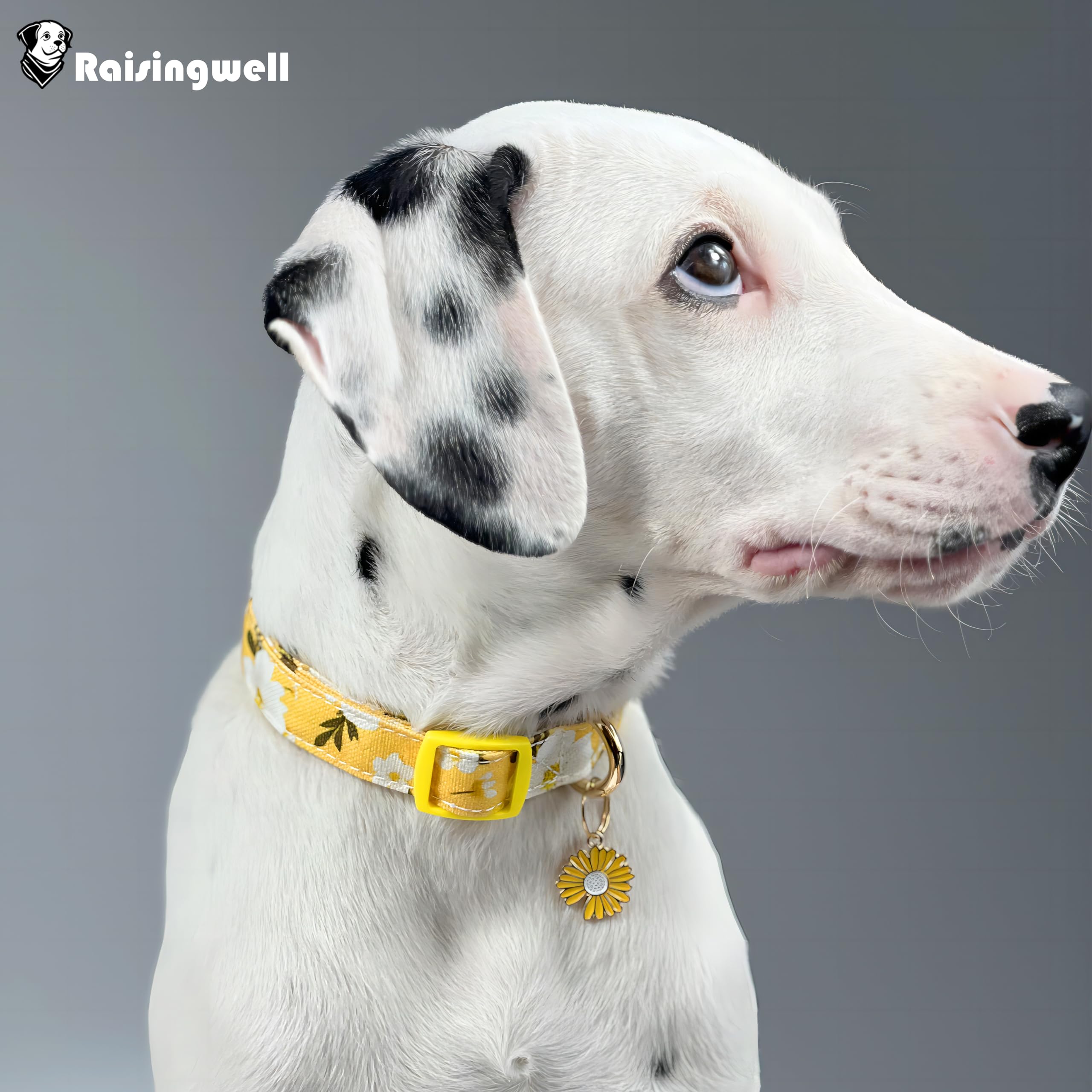 Raisingwell Cotton Dog Collar Yellow Flower Pattern For Boys And Girls Cute Dog Collars Summer Fall Gift Adjustable For Small To