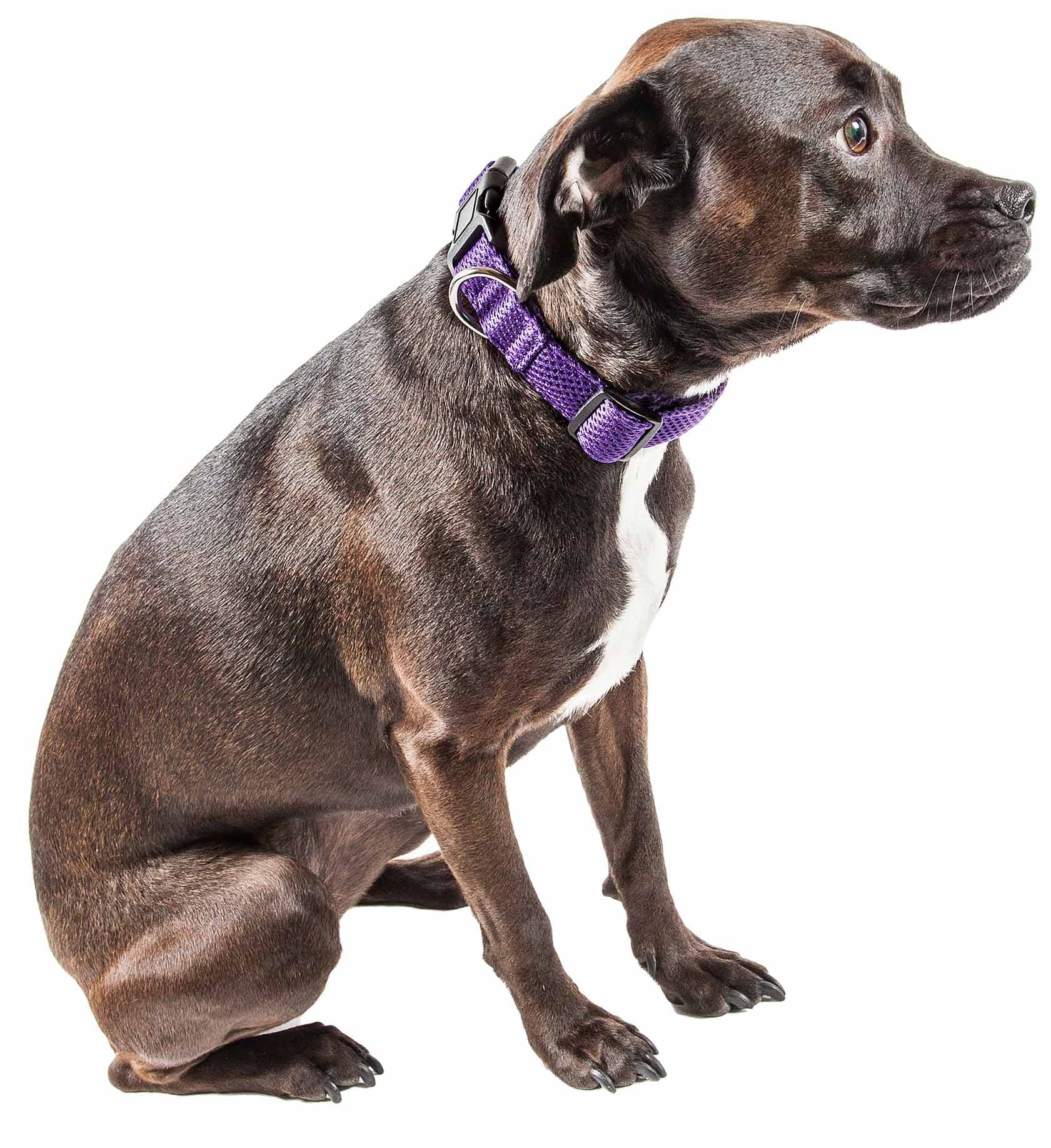 Pet Life 'Aero Mesh' 360 Degree Dual Sided Comfortable And Breathable Adjustable Mesh Dog Collar(D0102H70Hz7.)