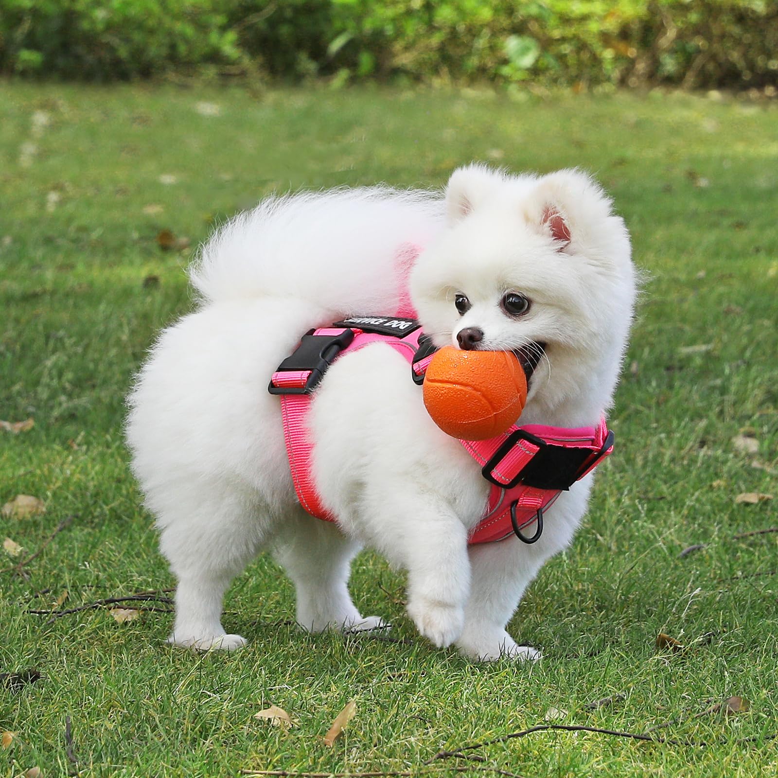 Demigreat Reflective Dog Vest Harness With 5 Pcs Patches, Adjustable Soft Oxford Dog Harness, Inner Layer Mesh, Prevent Pulling