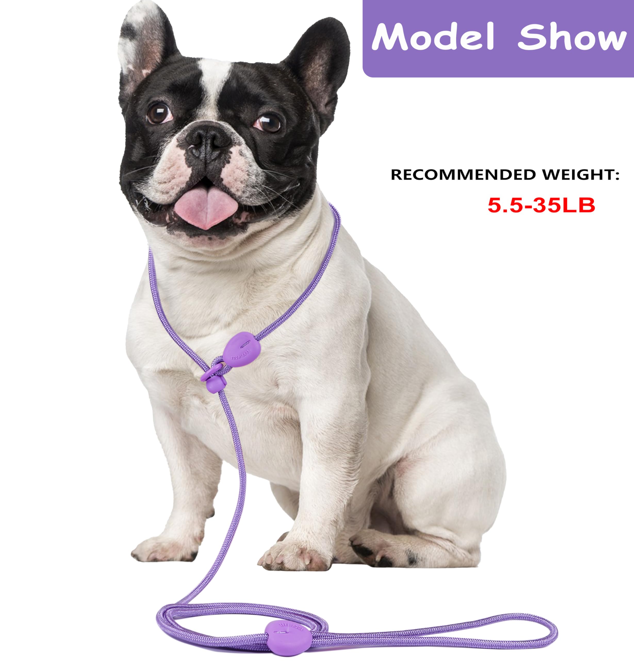 Slip Lead 6FT Slip Leash for Dogs No Pull Dog Training Leash Lightweight Dog Slip Lead 1/4 Slip Lead Dog Leash Dog Leash for Sma