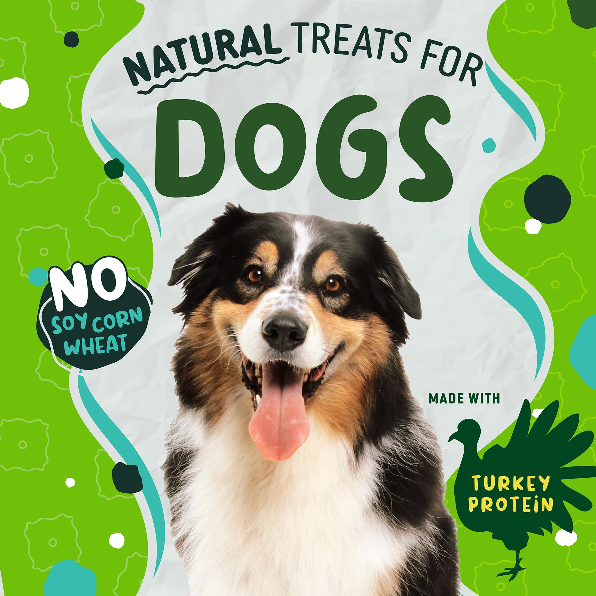 Earthborn Holistic EarthBars Minis with Turkey Protein Natural Dog Biscuit Treats 2 lb