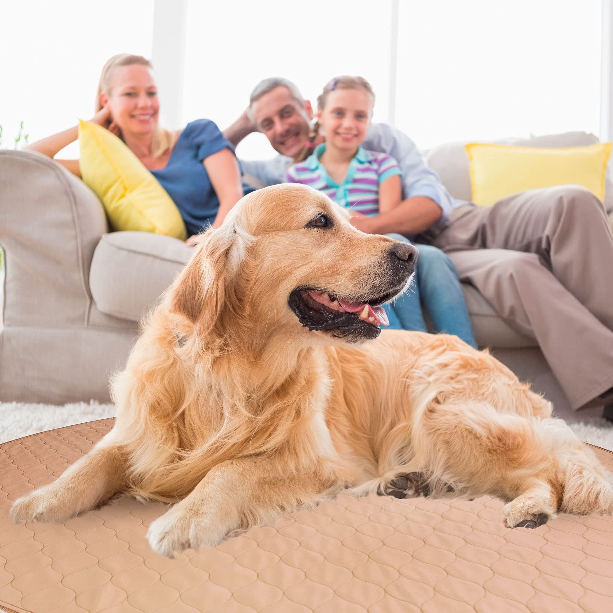 Ezwhelp Washable Whelping Dog Pee Pads - Waterproof And Reusable Potty Training Floor Pads - Absorbent Dog Training Bed - Puppy Training Pads Supplies, Absorbent Pet Pen Floor Pad Puppies, 36-In