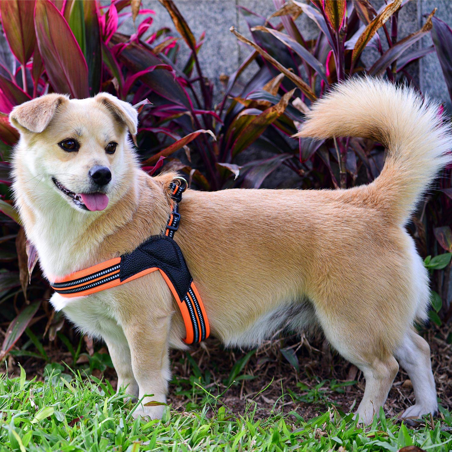 Dog Harness No Pull Ultra Soft Breathable Padded Pet Harness 2 Adjustable Botton, 3M Reflective Pet Harness For Dogs Easy Control For Small Medium Large Dogs (M, Bright Orange)
