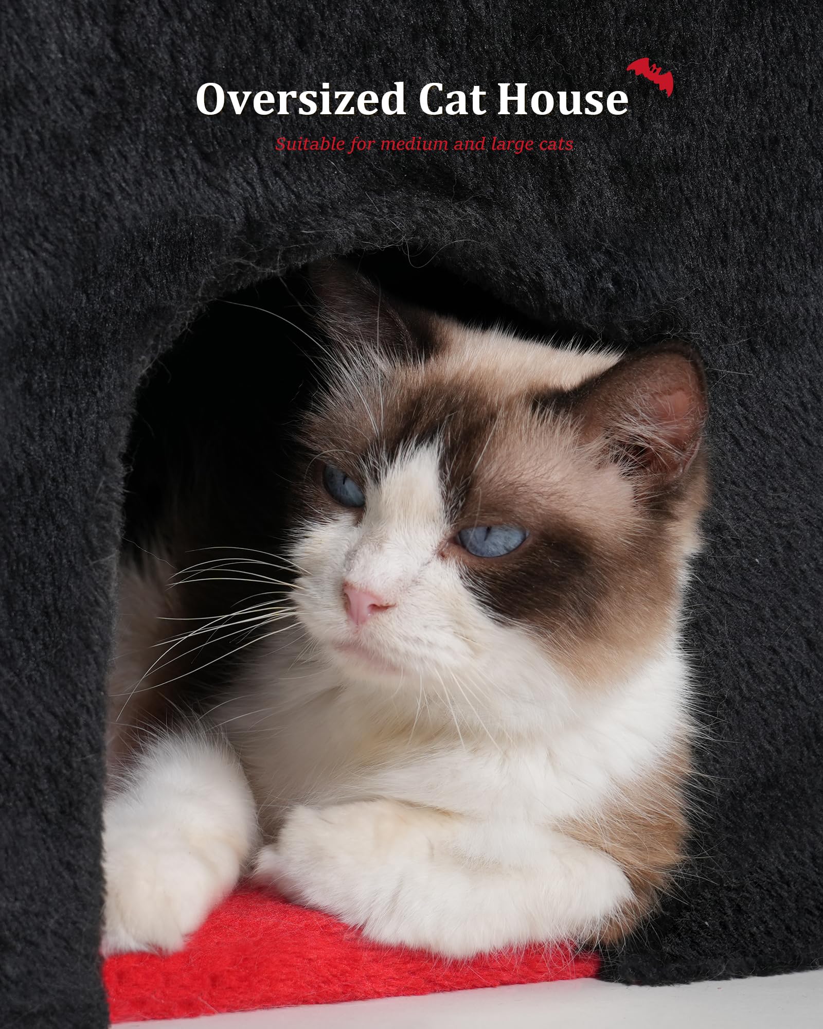 Aechonow Gothic Cat Condo Cave For Indoor Cats, Spacious Indoor Coffin Cat House Bed,Large 20X13.5Inch Bunk Perch, Stable Cubbie