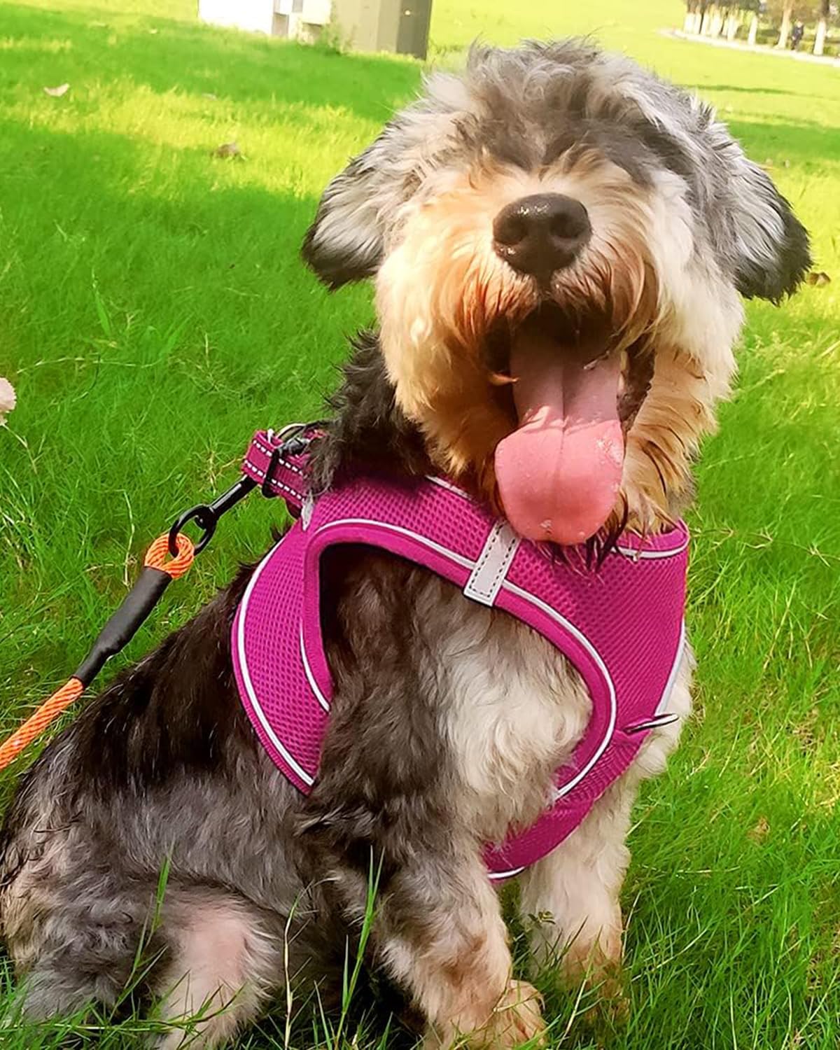 Joytale Step In Dog Harness,12 Colors,Breathable Mesh Vest Harness,Reflective Soft Padded Harnesses For Small And Medium Dogs,Hotpink,L