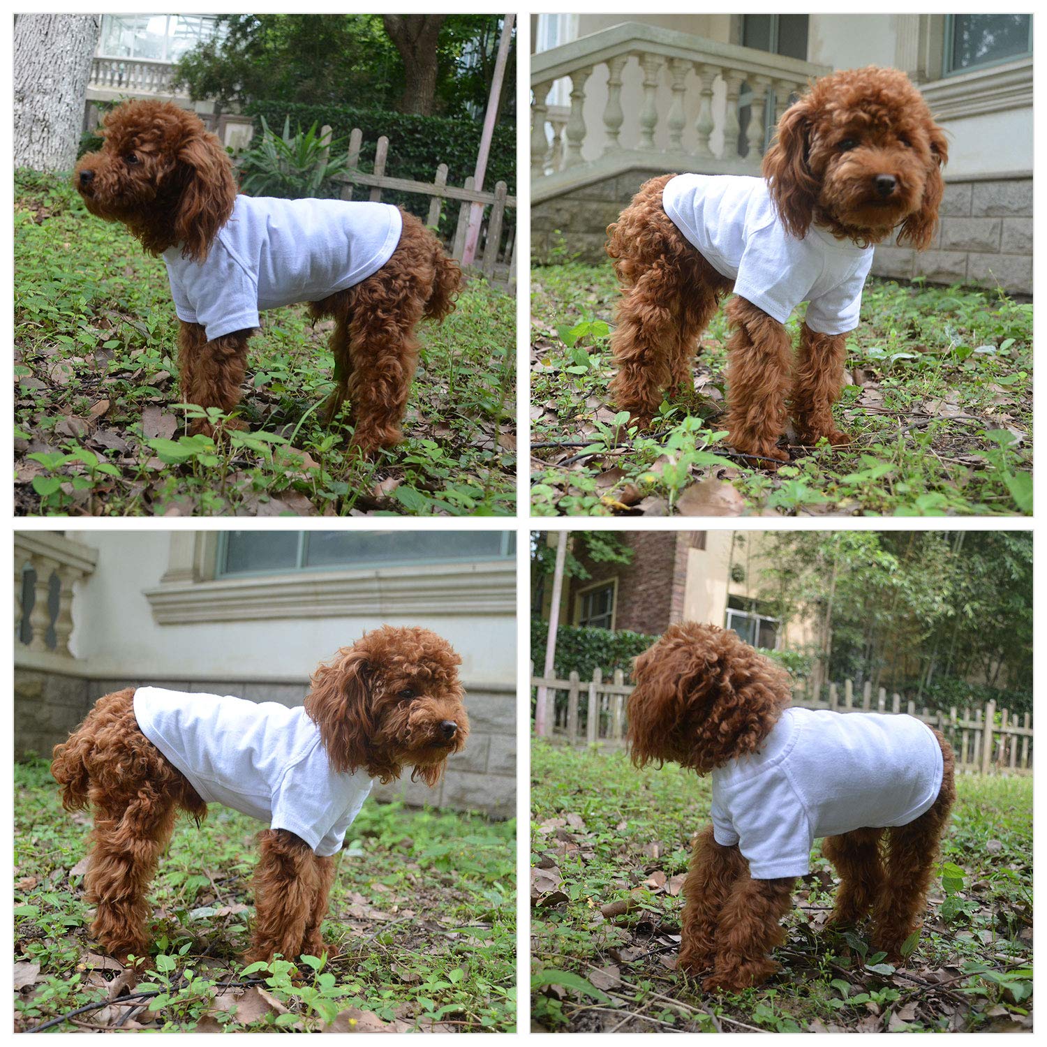 Lovelonglong 2019 Pet Clothing Dog Costumes Basic Blank T-Shirt Tee Shirts For Small Dogs White L
