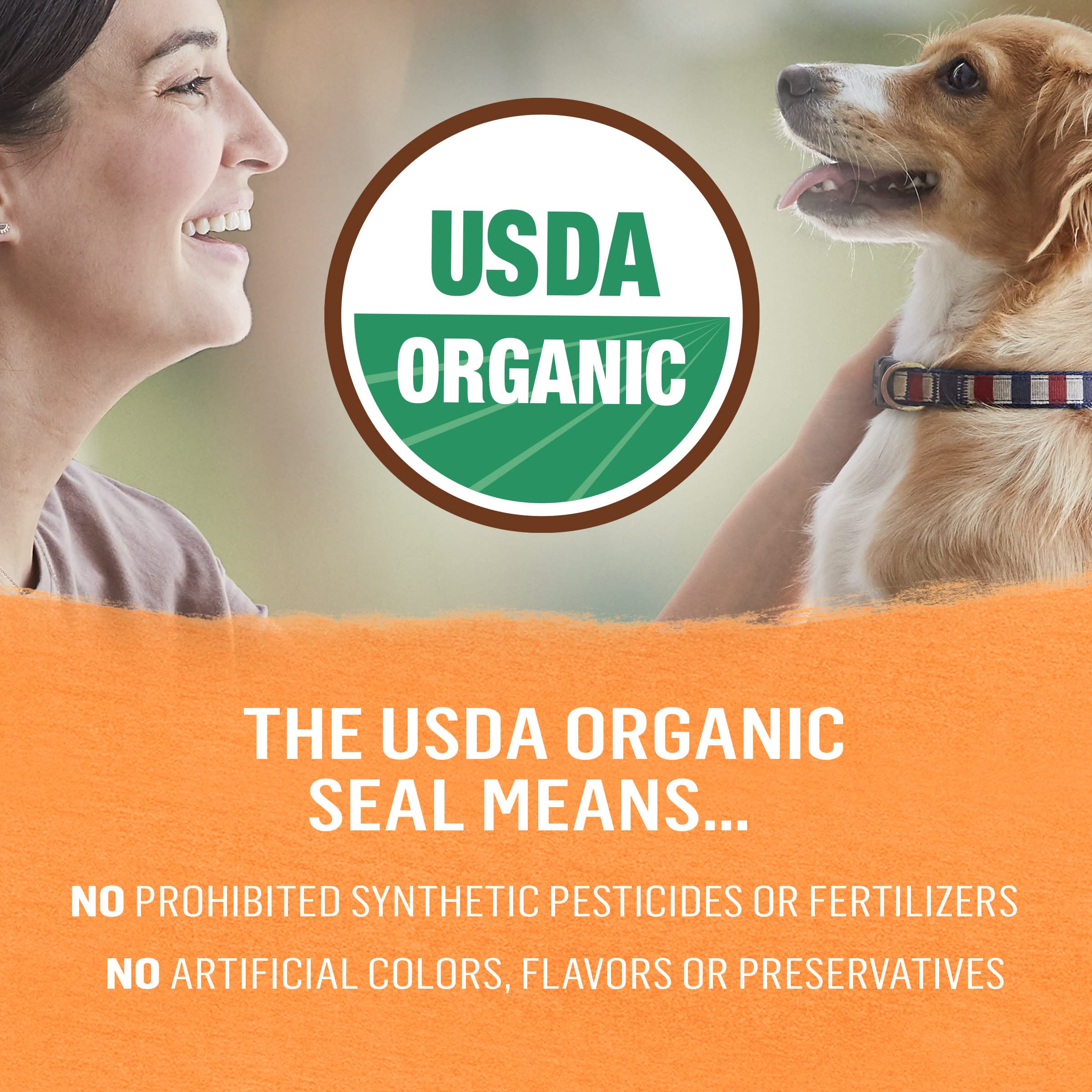 Purina Beyond Organic Wet Dog Food, Organic Chicken & Carrot Adult Recipe Ground Entr  e with Broth - (Pack of 12) 13 oz. Cans
