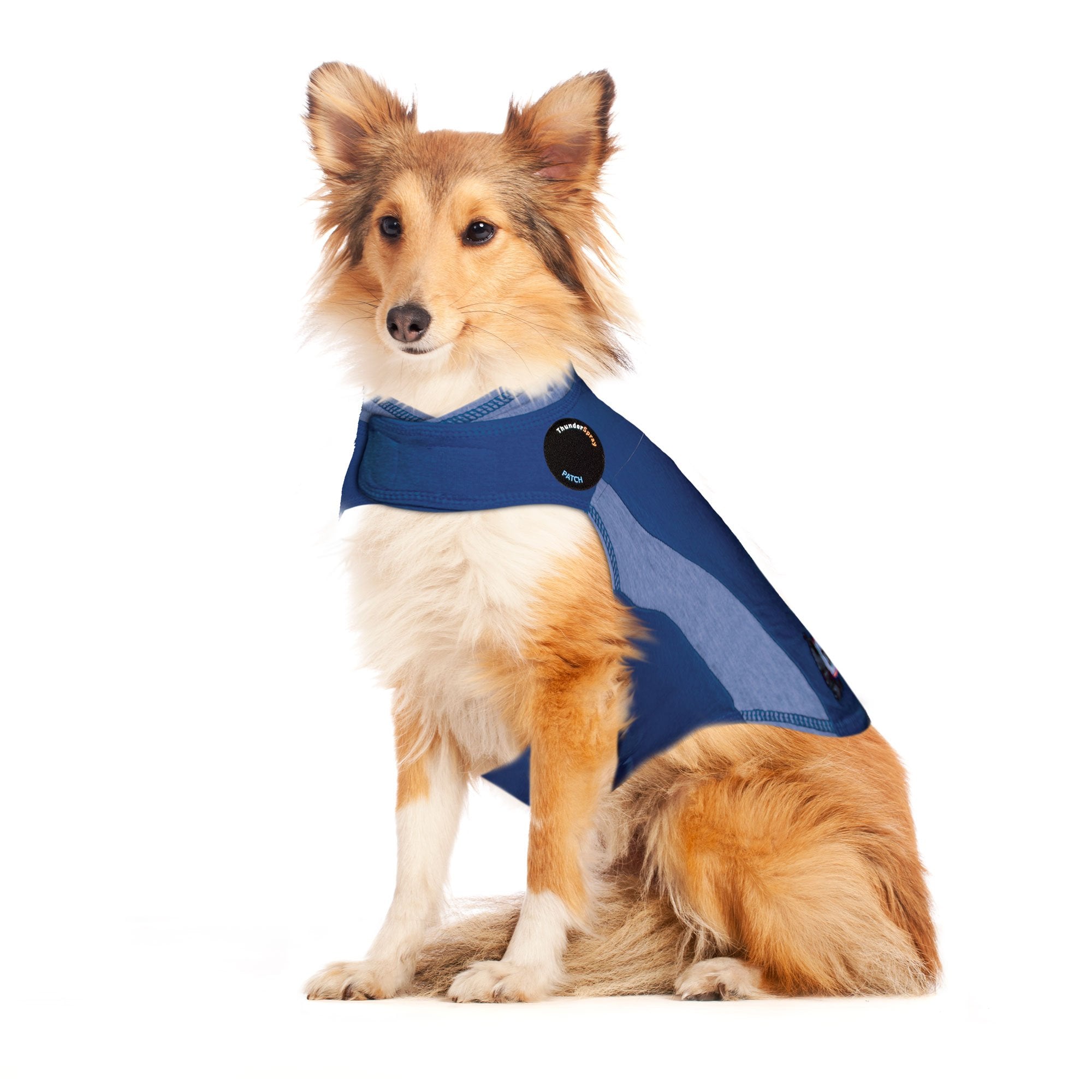 ThunderShirt for Dogs, Large, Blue Polo - Dog Anxiety Relief Calming Vest