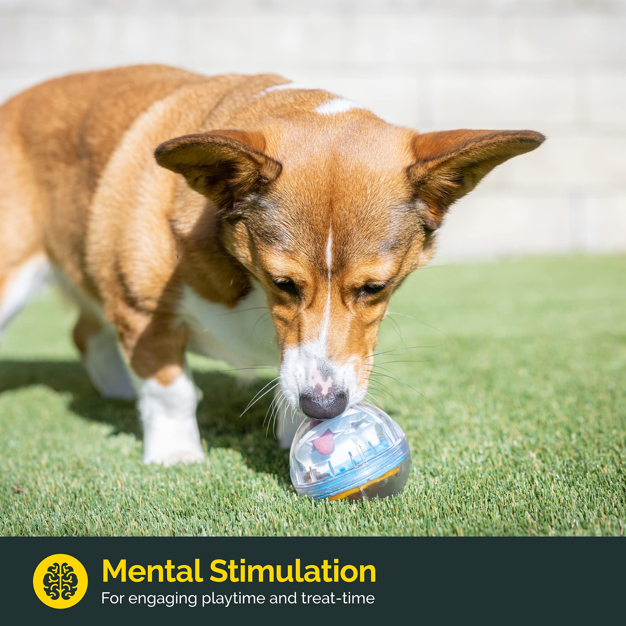 Pet Zone IQ Treat Ball Interactive Dog Ball - 3 Puzzle Treat Dispenser, Durable, Slow Feeder, for All Dog Breeds, Toys to Keep T