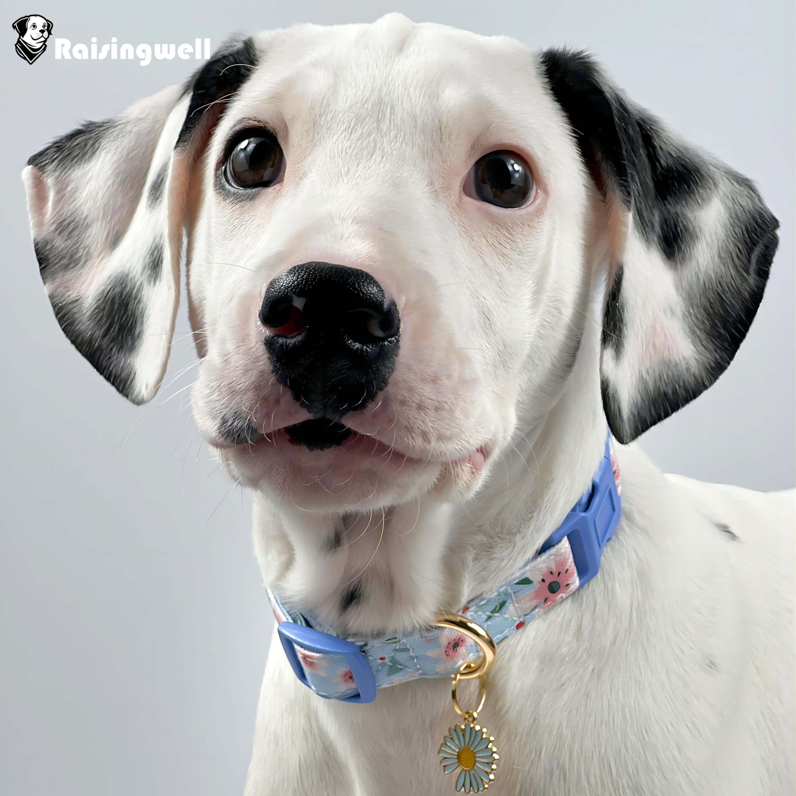 Raisingwell Cotton Dog Collar Blue Flower Pattern For Boys And Girls Cute Dog Collars Summer Fall Gift Adjustable For Small To M