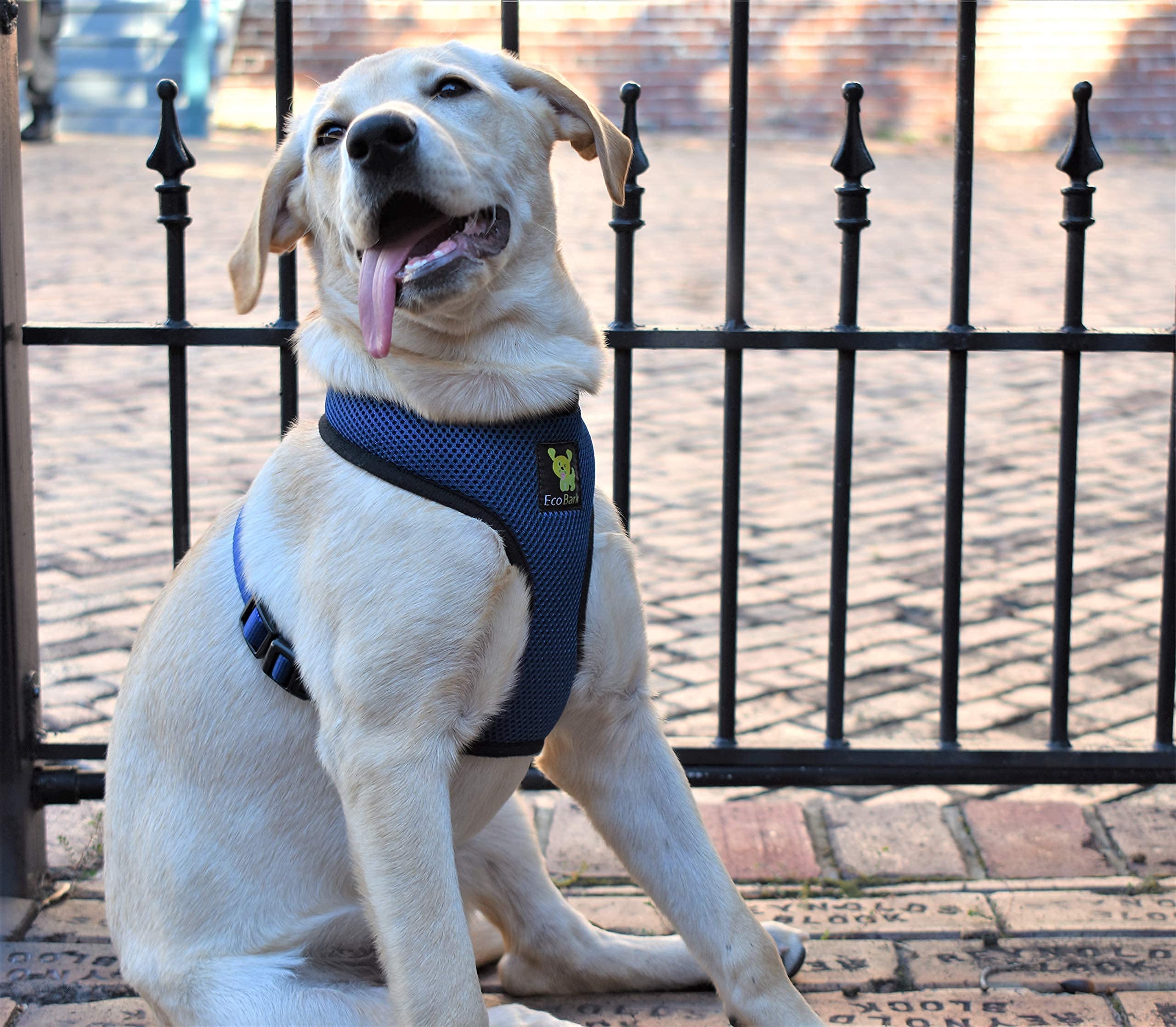 Ecobark Dog Harness - Luxurious Soft Mesh - Eco-Friendly Over The Head Vest Harness - No Pull & No Choke Design - Padded Breathable Body Halter - For Large Breed Dogs (Navy, Xxl)