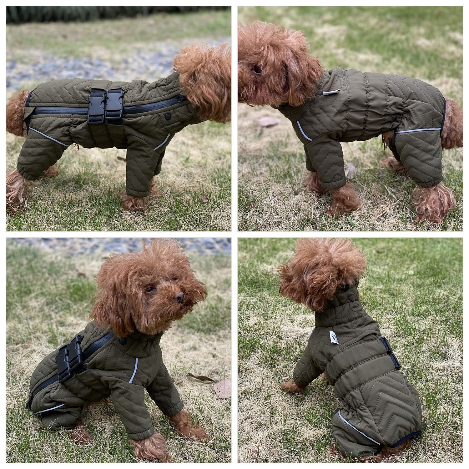 Warm Dog Coat Double Layers Dog Vest, 4 Legs Covered Windproof Waterproof Reflective, Olive Xs
