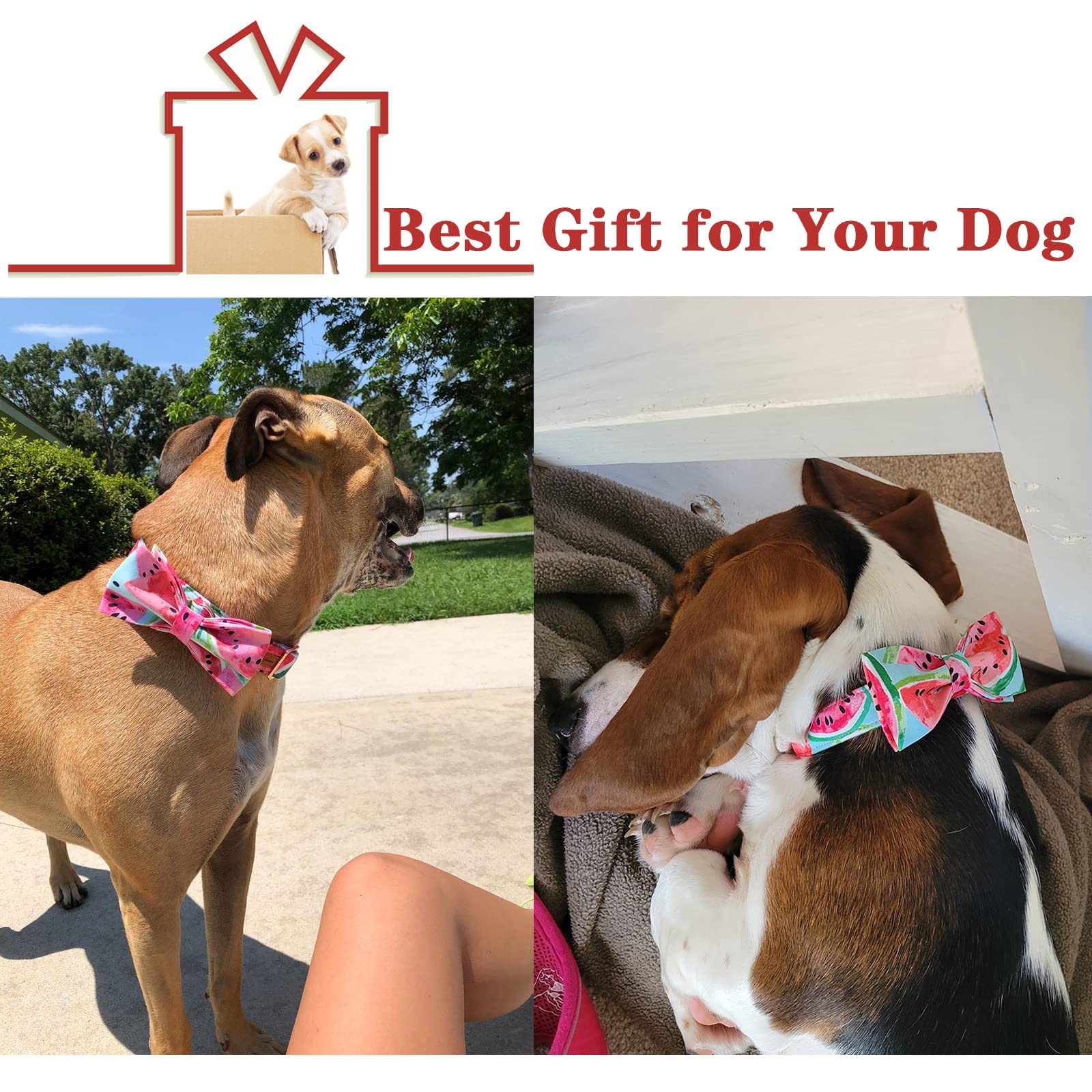 Unique Style Paws Bowtie Dog Collar Cotton Watermelon Collar Adjustable Summer Collar For Small Medium Large Dogs - Xs