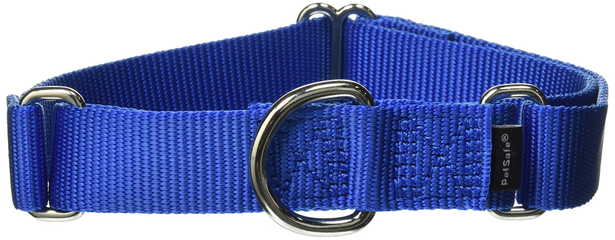 Petsafe Martingale Collar, 1' Medium, Royal Blue