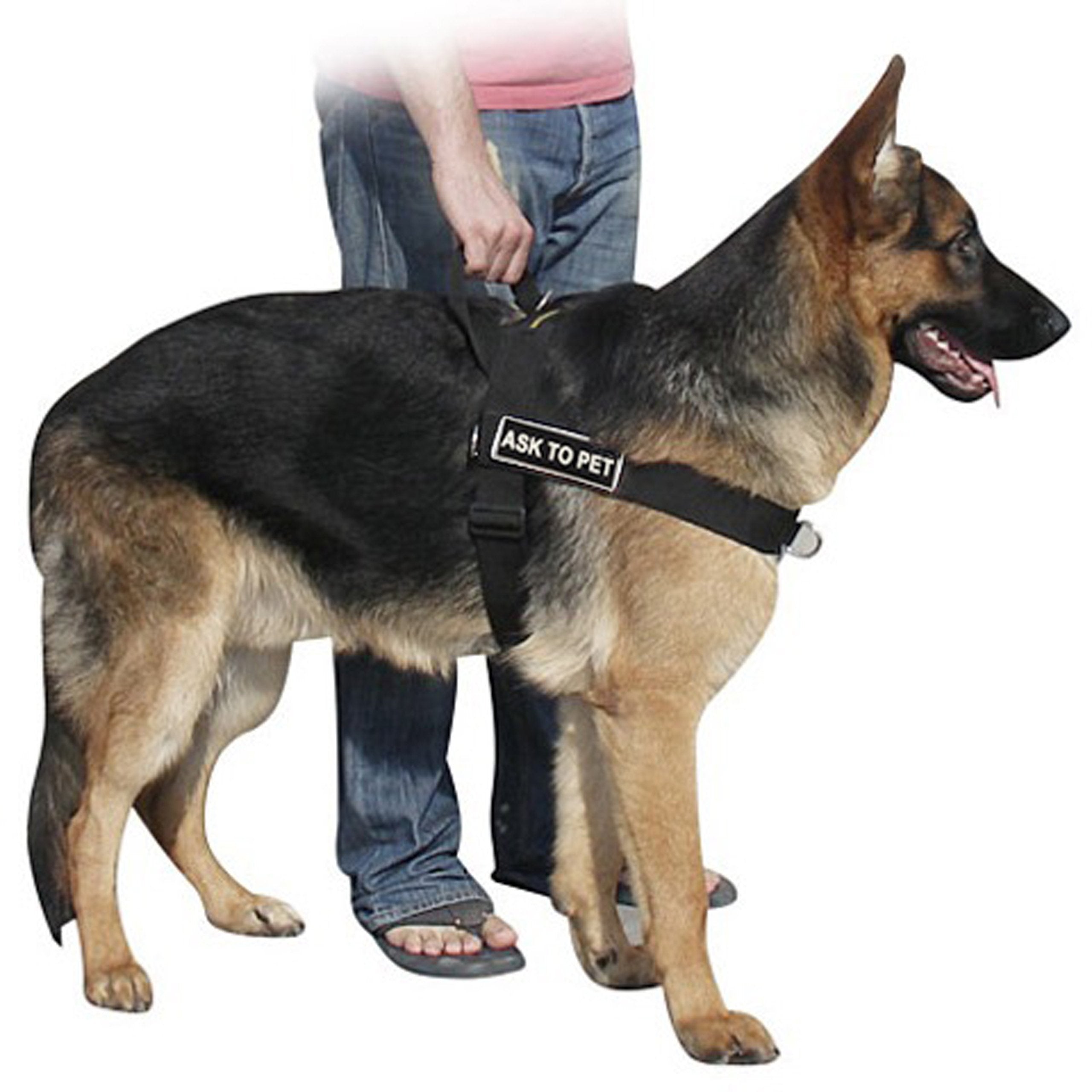 DT Universal No Pull Dog Harness, Ask To Pet, Black, X-Small, Fits Girth Size: 21-Inch to 25-Inch