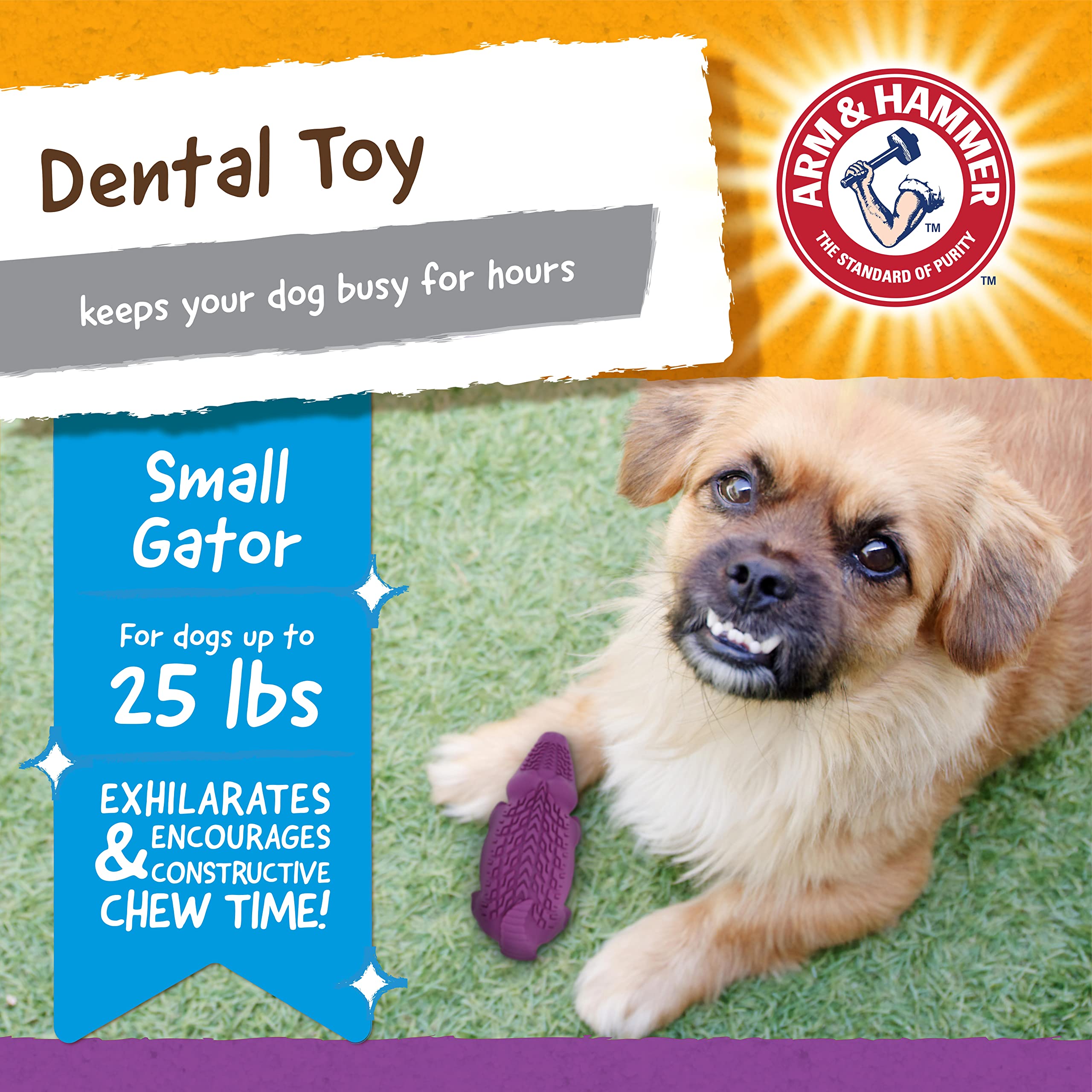 Arm & Hammer For Pets Super Treadz Mini Gator Dental Chew Toy For Dogs Best Dental Dog Chew Toy Dog Dental Chew Toys Reduce Plaque & Tartar Buildup Without Brushing (Pack Of 1)