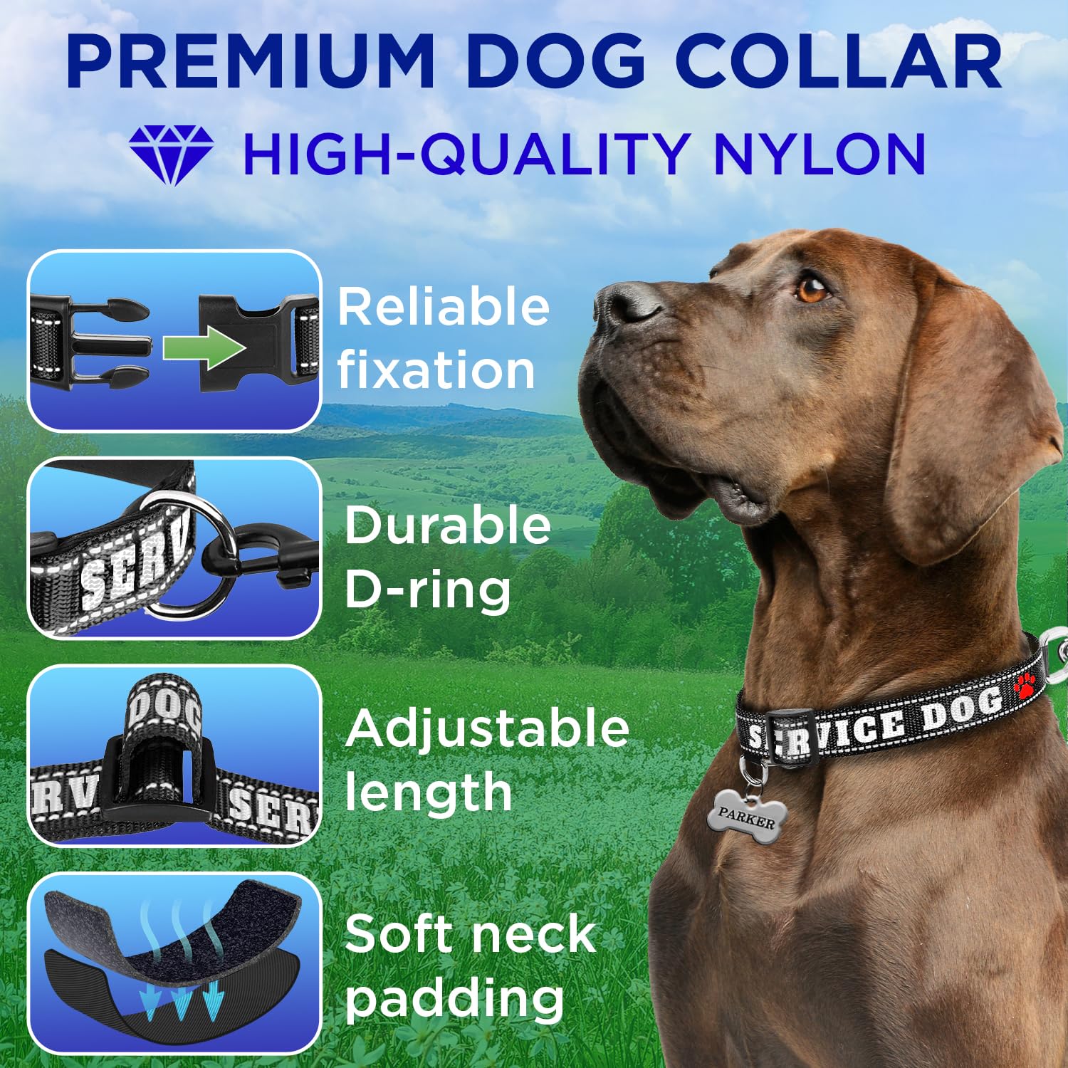Teceum Reflective Pet Collar - Black - Service Dog - M - Extra Soft Padding - Basic Nylon Dog Collar - Quick Release Buckle - Fi