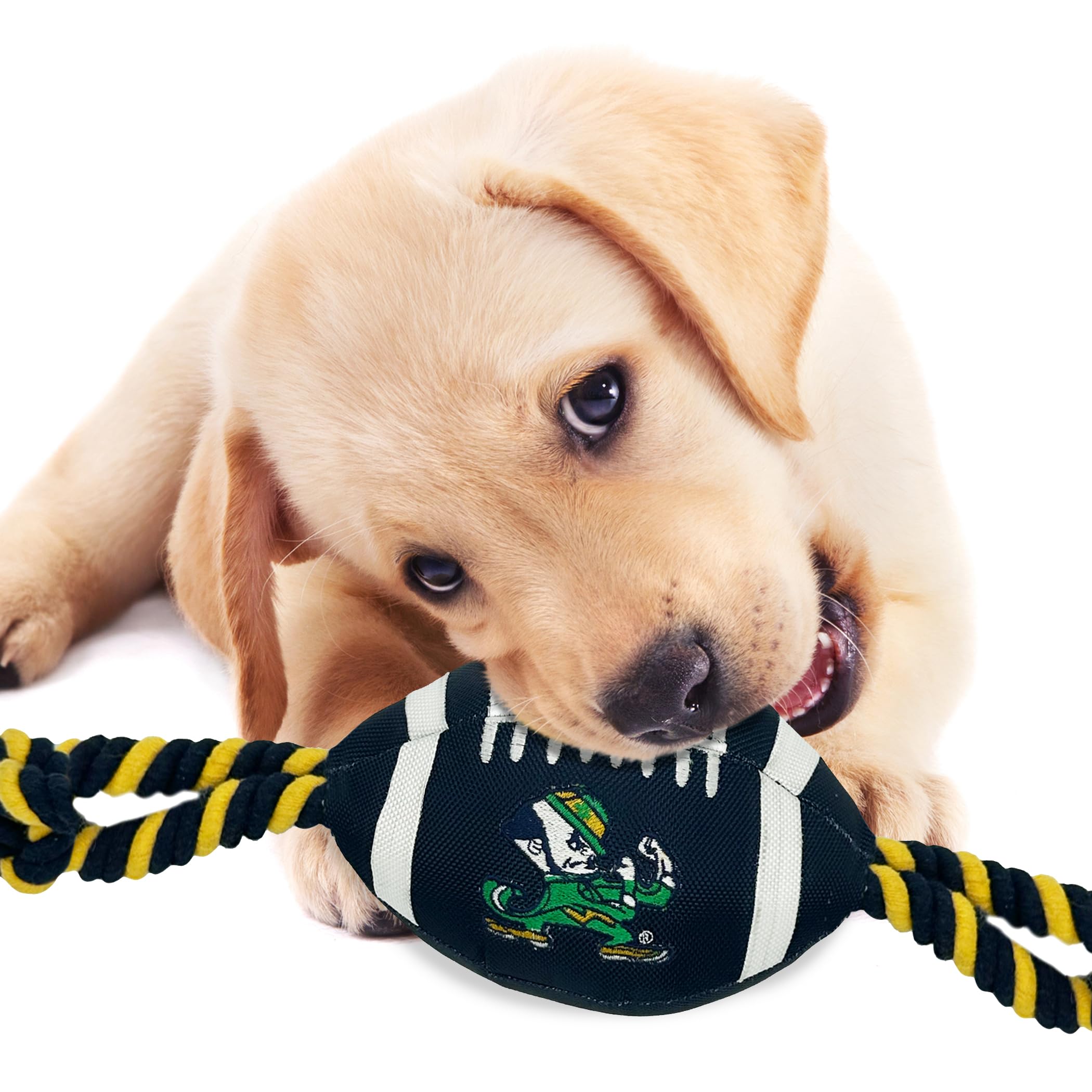 Pets First Notre Dame Football Dog Toy - Tough Nylon, Strong Pull Ropes, Inner Squeaker, One Size, Collegiate Team Color