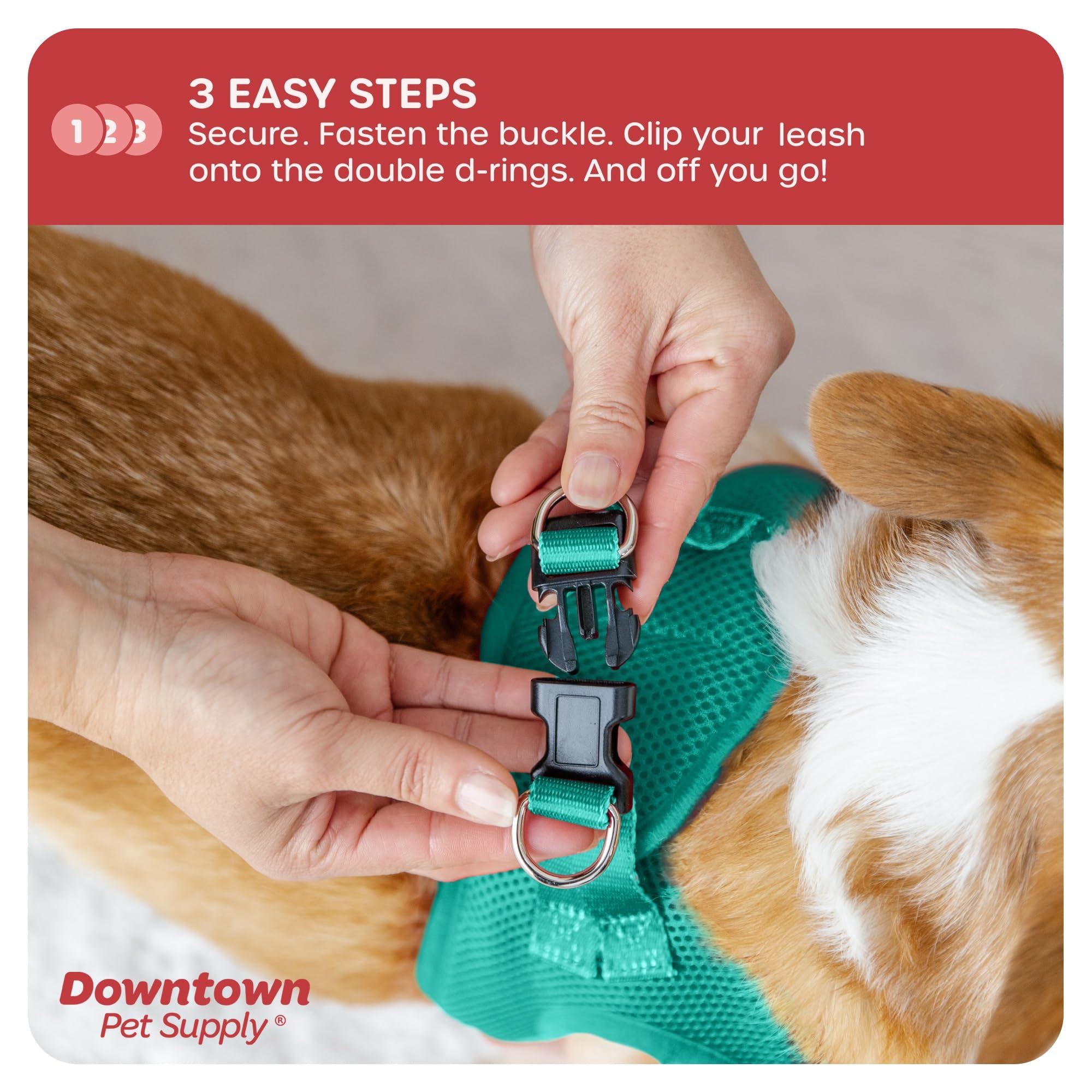 Downtown Pet Supply Step In Dog Harness No Pull, X-Large, Bermuda Blue - Adjustable Harness With Padded Mesh Fabric And Reflecti