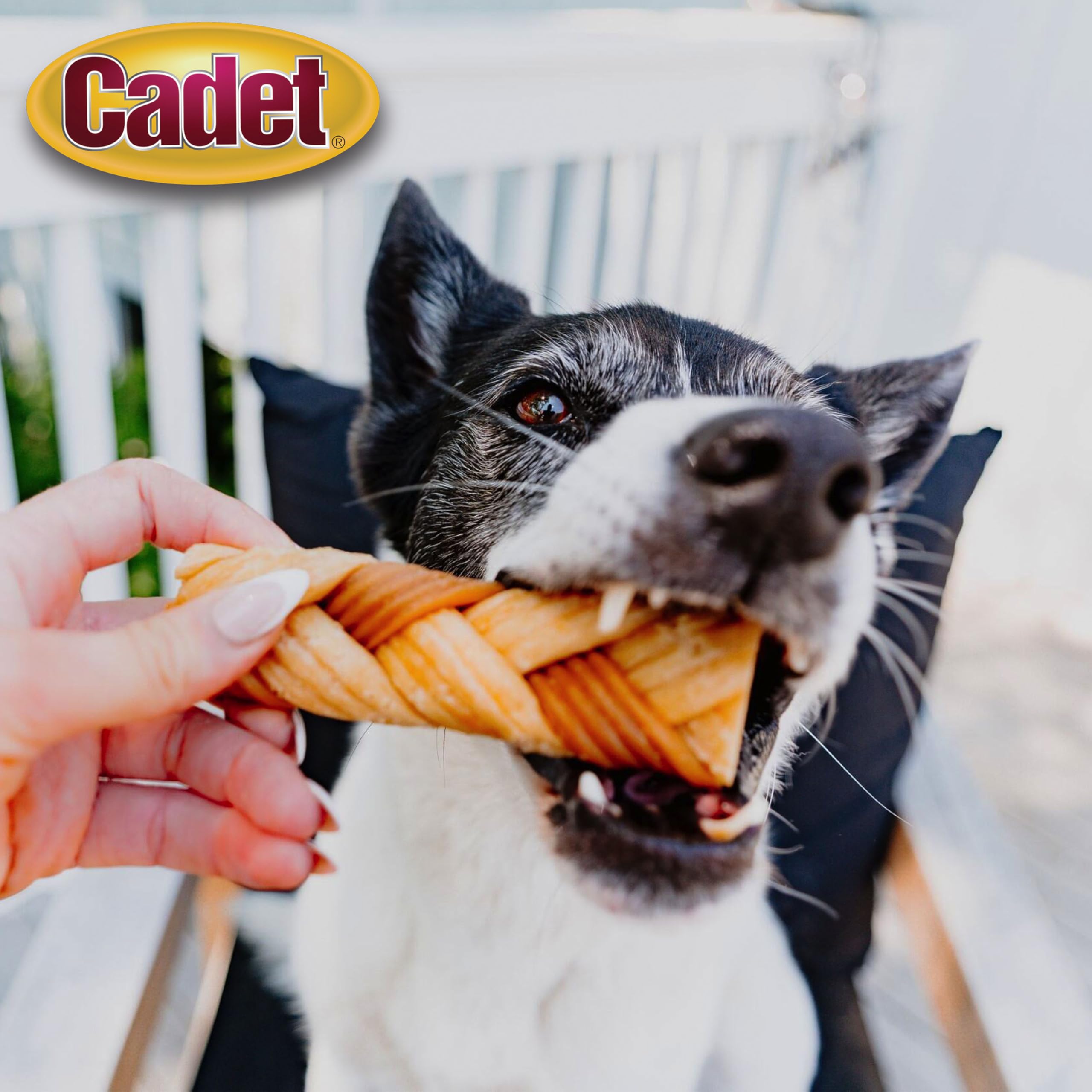 Cadet Chewalicious Chewy N Crunchy Braid Dog Treats, Limited Ingredient, Rawhide-Free, Long-Lasting Chews for Dogs Made with Re