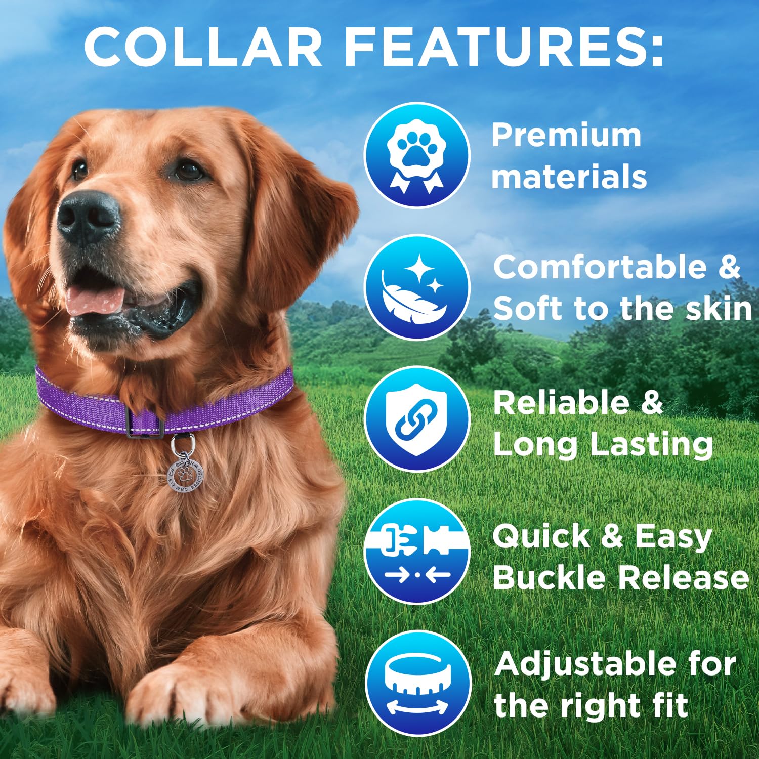 Teceum Reflective Dog Collar - Purple - Xl - Basic Nylon Pet Collar - Quick Release Buckle - Fits Small, Medium And Large Dogs,