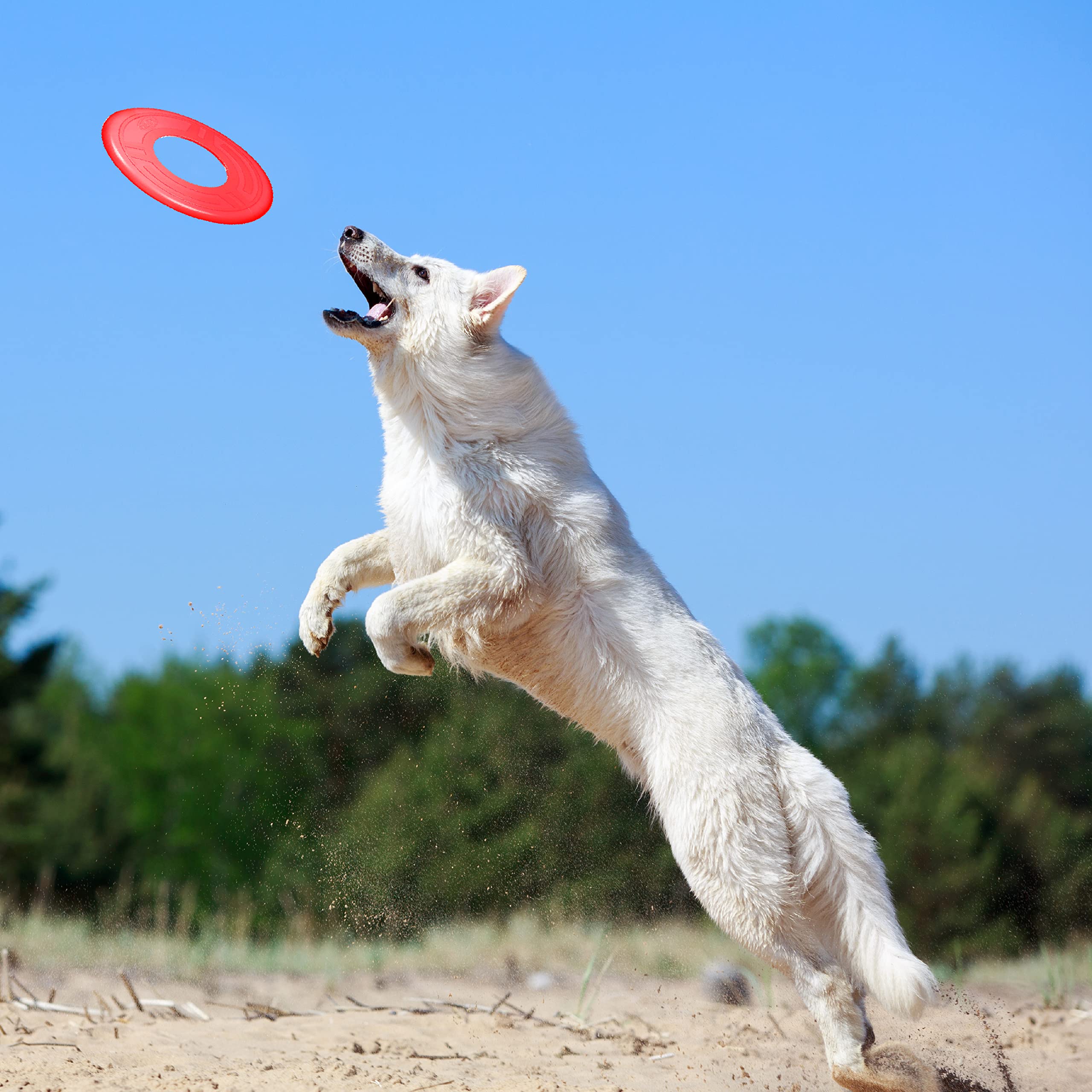 Nerf Dog Atomic Flyer Outdoor Dog Toy, 10 Inch Flying Disc Dog Fetch Toy, Rubber Dog Toy For Medium Dogs And Large Dogs, Red