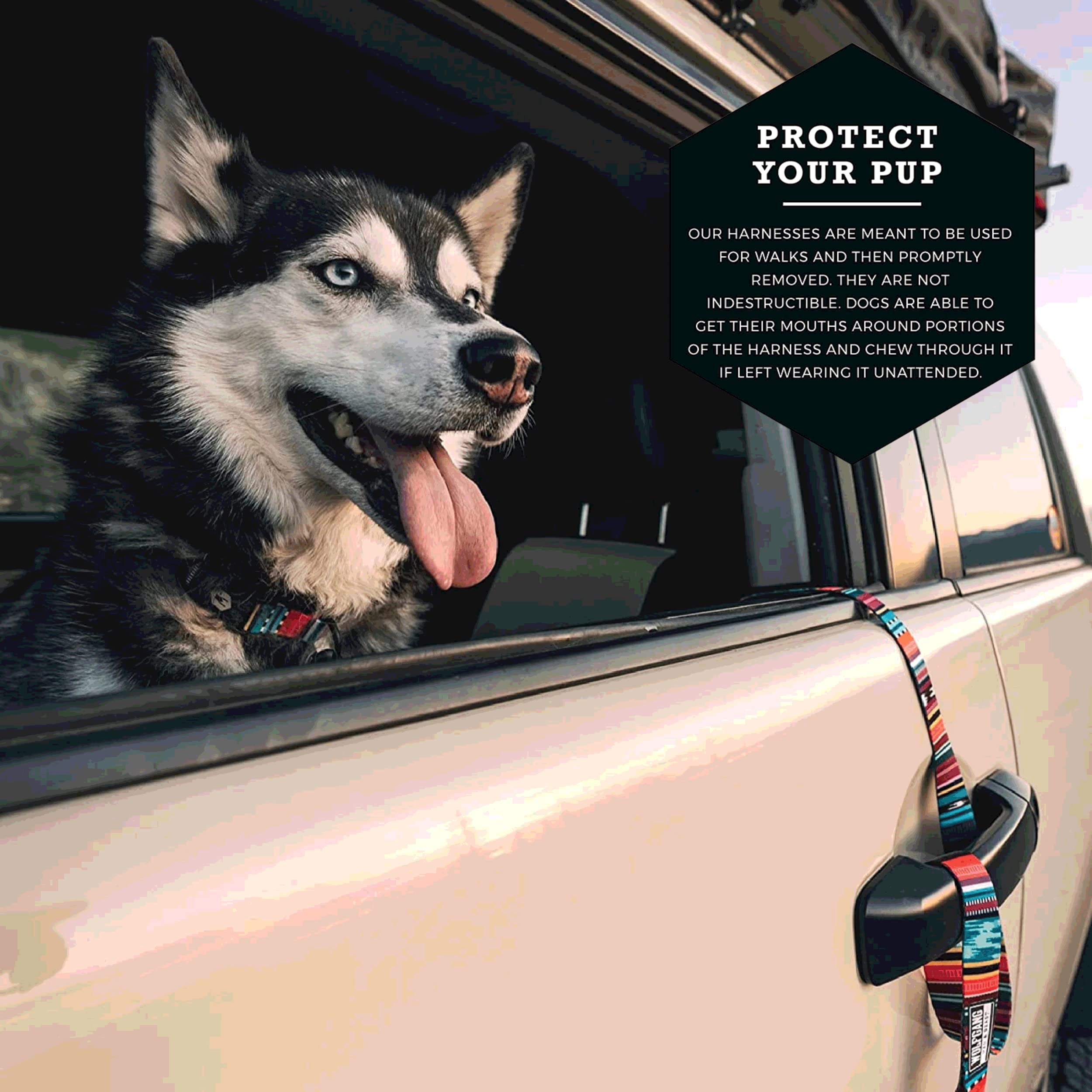 Wolfgang Heavy Duty Adjustable Dog Harness, Pull-Tested To Over 800 Lbs For Walking & Training, Quetzal Print, Medium