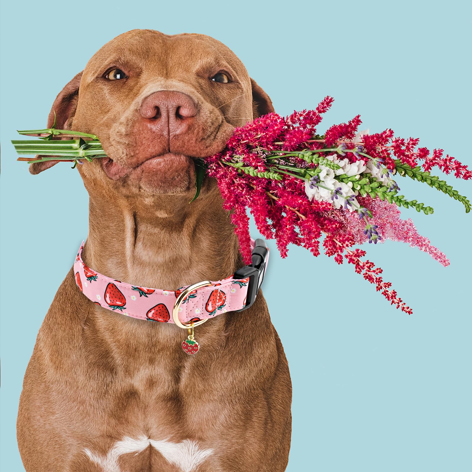 Faygarsle Pink Strawberry Pattern Cotton Dog Collar For Small, Medium, Large Boys Girls Dogs Xs