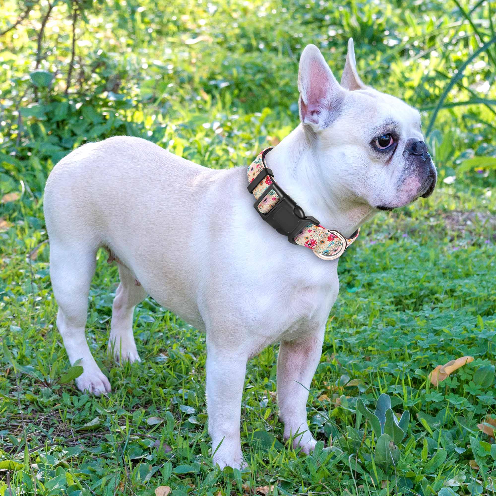 Ladoogo Reflective Dog Collar Padded With Soft Neoprene Breathable Adjustable Nylon Dog Collars For Small Medium Large Dogs (Small (Pack Of 1), Vanila/Pink Floral Collar+Leash)