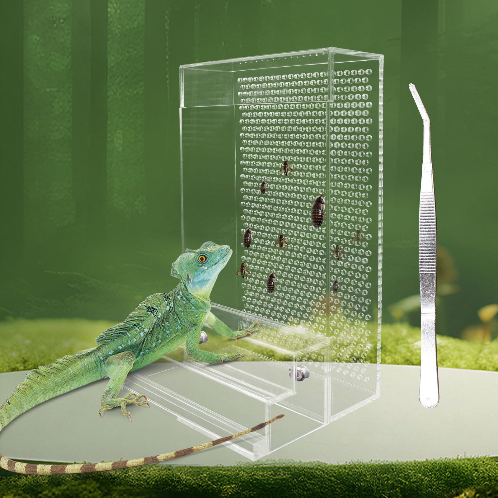 Large Bearded Dragon Feeder, Chameleon Bug Bowl Kit With Steps, Transparent Acrylic Reptile Feeder Box, Tank & Aquarium Accessor