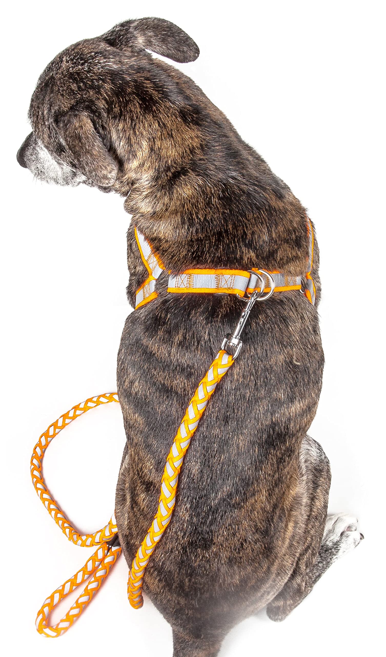 Pet Life  Durable 3M Reflective 2-in-1 Extra Long Pet Leash and Adjustable Dog Harness - Features Thick-Grade Interlocked Reflec