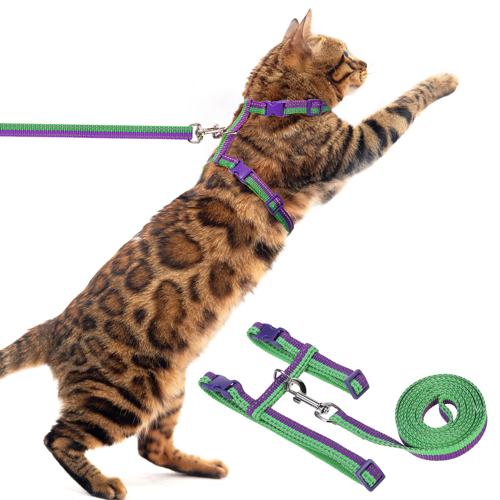 Pupteck Adjustable Cat Harness And Leash Set Escape Proof Kitten Strap Collar For Walking Travel, Purple Green