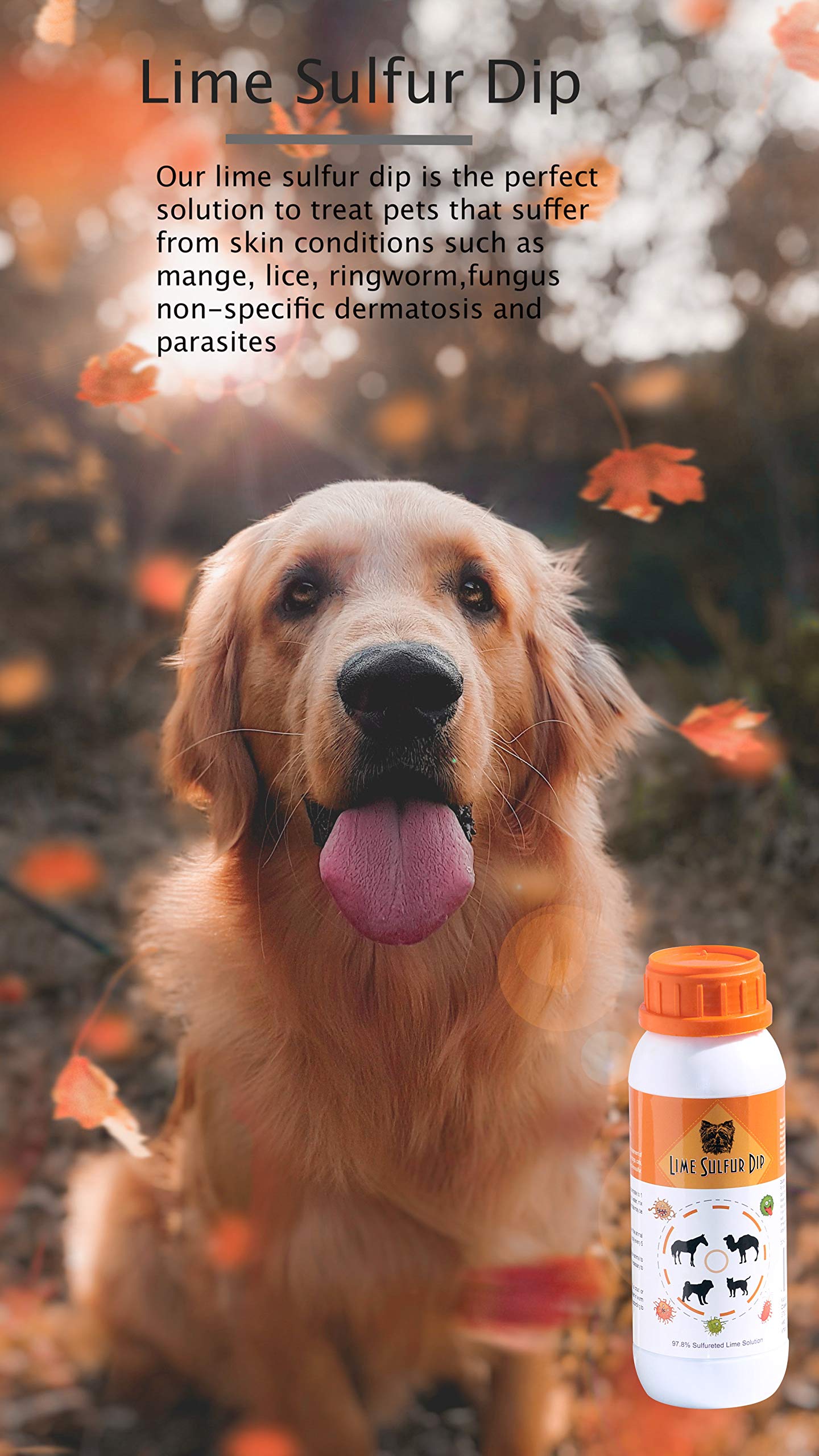 Classics Lime Sulfur Dip - Pet Care for Itchy and Dry Skin - Xtra Strength Formula - Safe Solution for Dog, Cat, Puppy, Kitten,