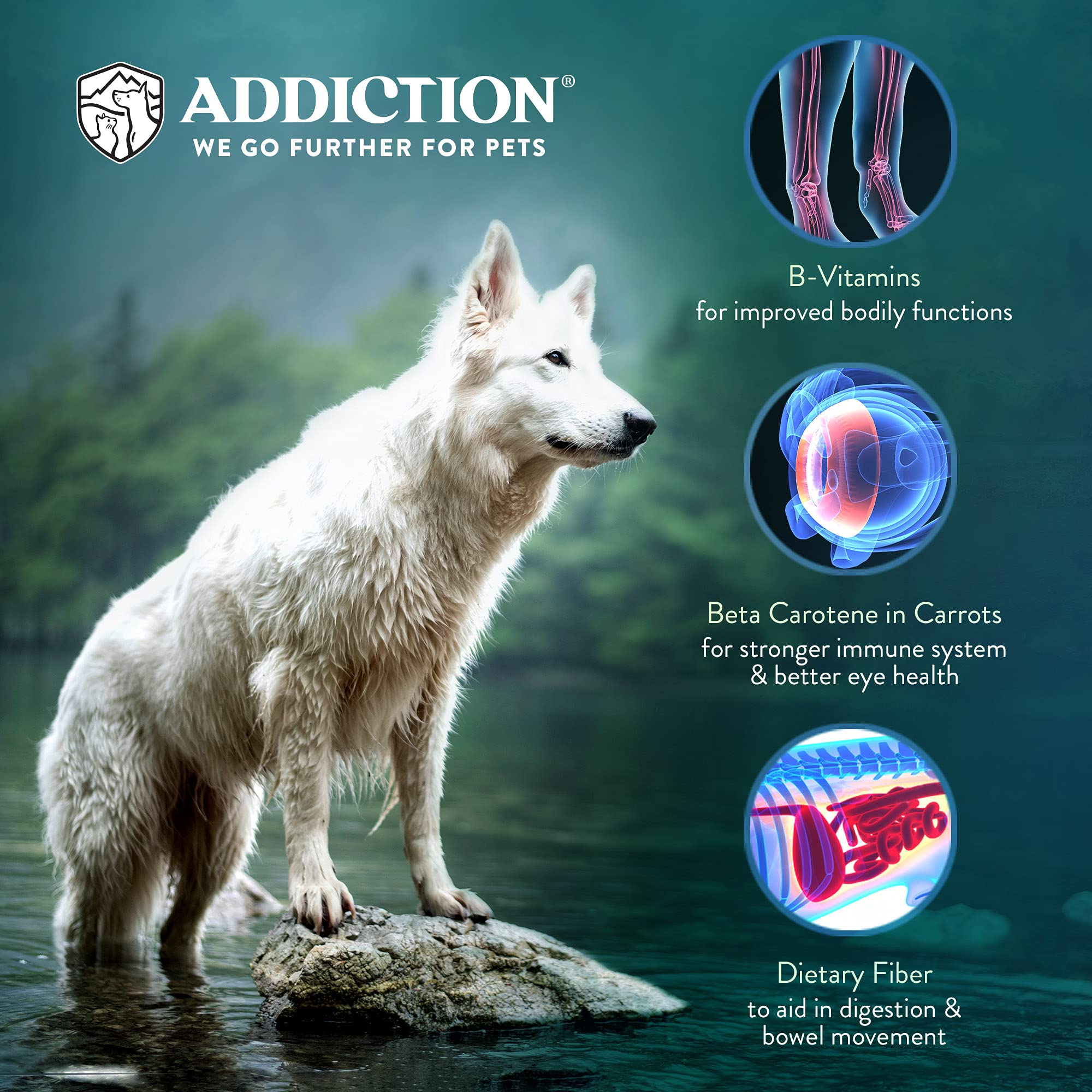 Addiction Perfect Summer Brushtail Air-Dried Grain-Free Dog Food - Complete Meal or Topper with Natural Ingredients for Digestiv