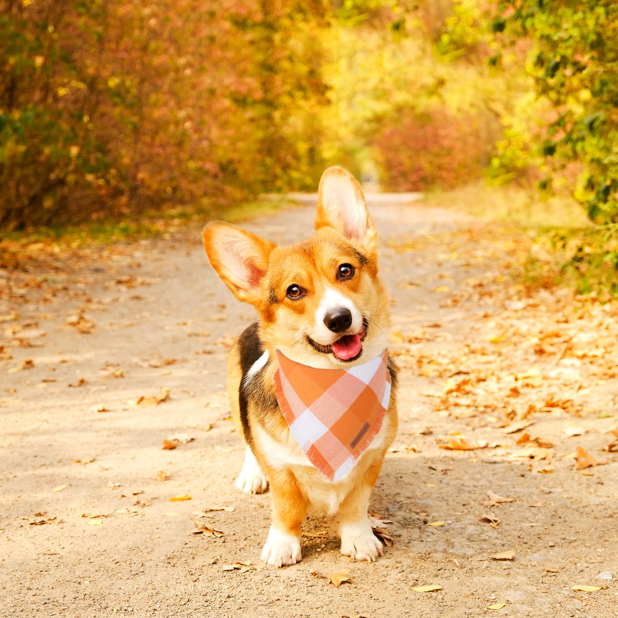 Adoggygo Fall Dog Bandanas, Halloween Thanksgiving Dog Bandana, Orange Plaid Dog Scarf, Multiple Sizes Offered, Fall Holiday Bandana For Small Dogs Pets (Fall, Small)