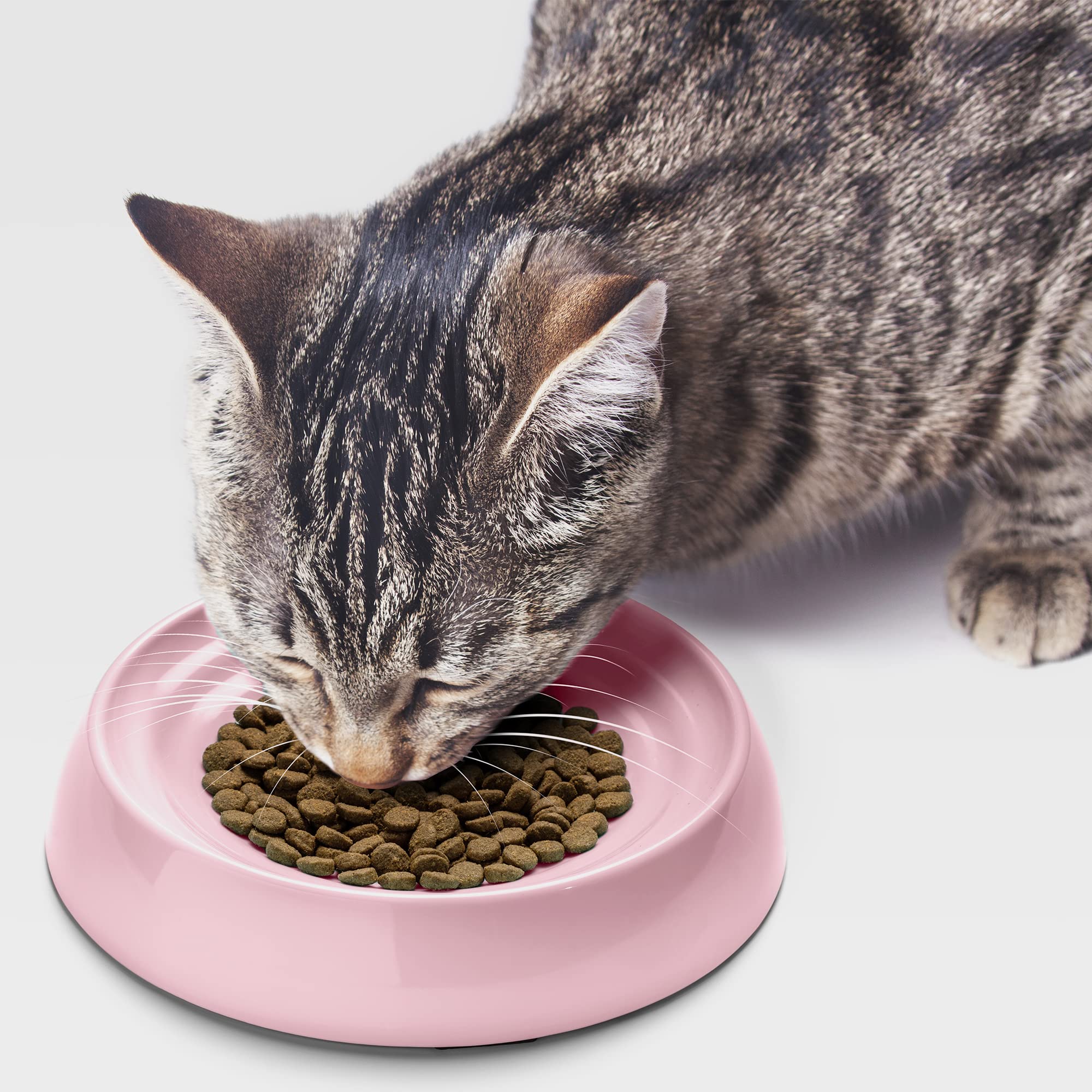 CatGuru Cat Bowls, Whisker Stress Free Cat Food Bowl, Reliefs Whisker Fatigue, Wide Cat Bowl, Non Slip Cat Food Bowls, Shallow C