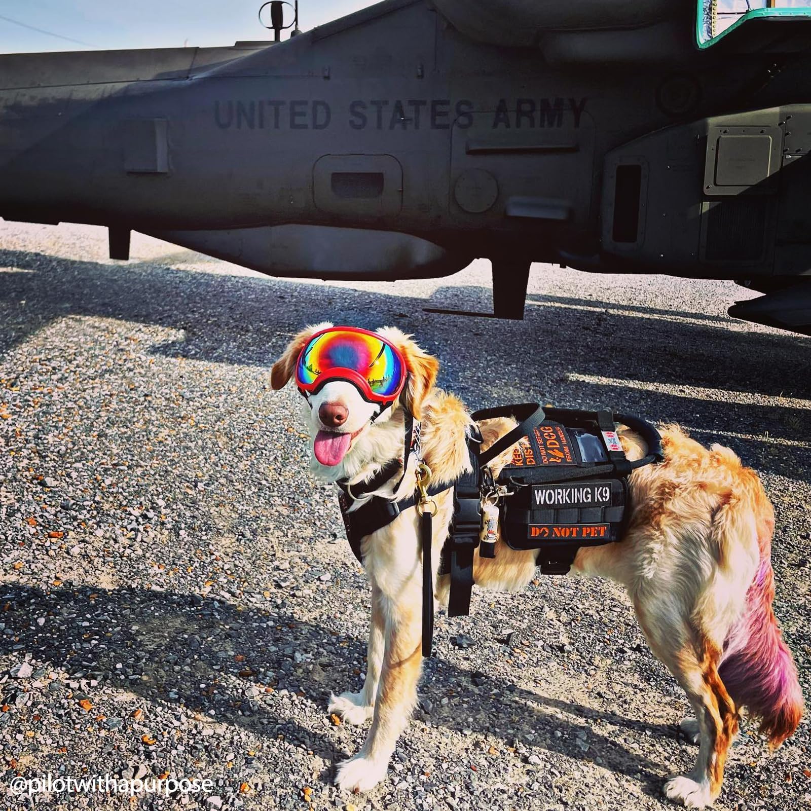 OneTigris Service Dog Vest Harness, Service Dog Cape Guardian Dog Molle Backpack with Pouches for Medium and Large Dogs (Black,