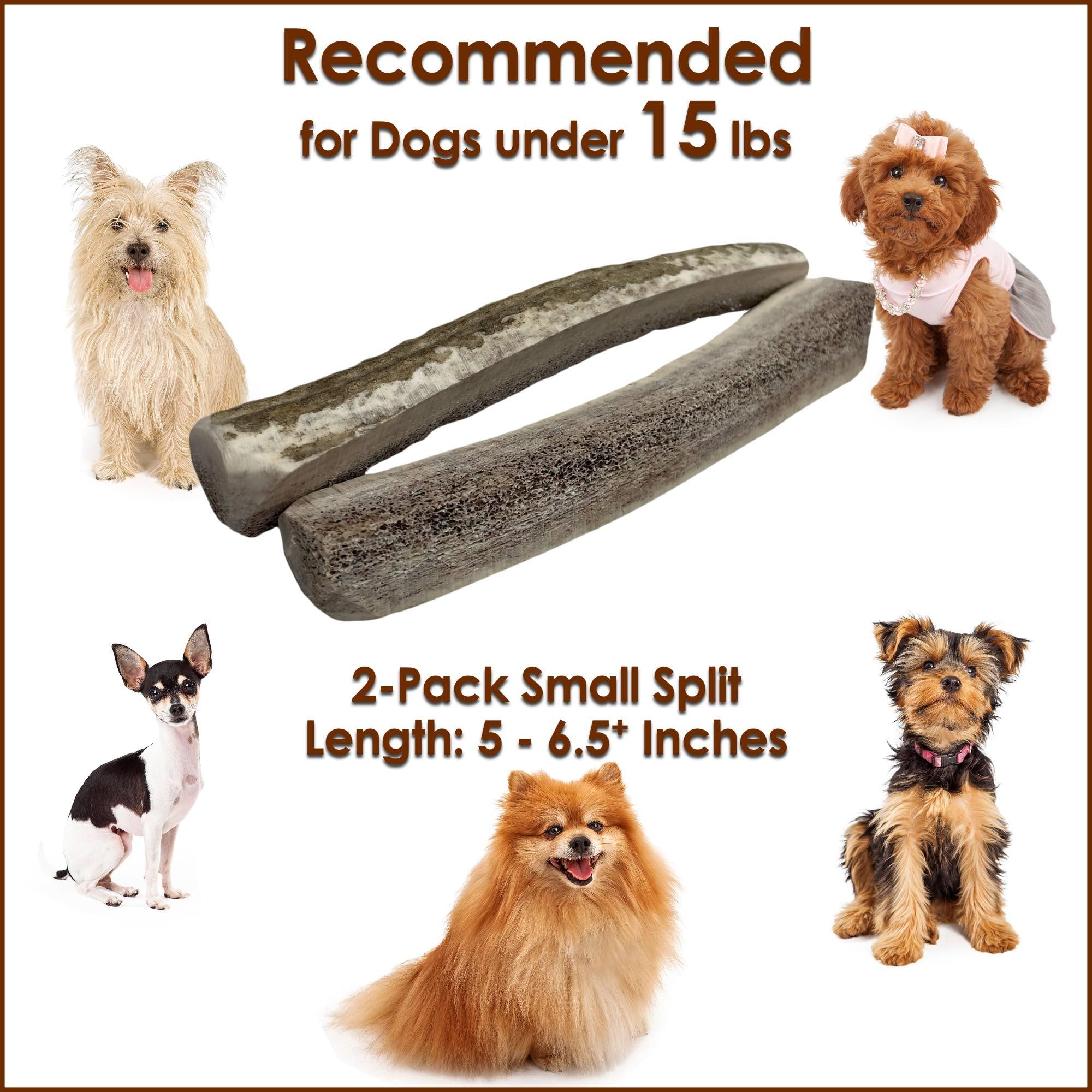 Deluxe Naturals 2-Pack Small Split Elk Antler Dog Chews (5 to 6.5+ in) - All Natural, Premium Grade A, Odor-Free, USA-Sourced -