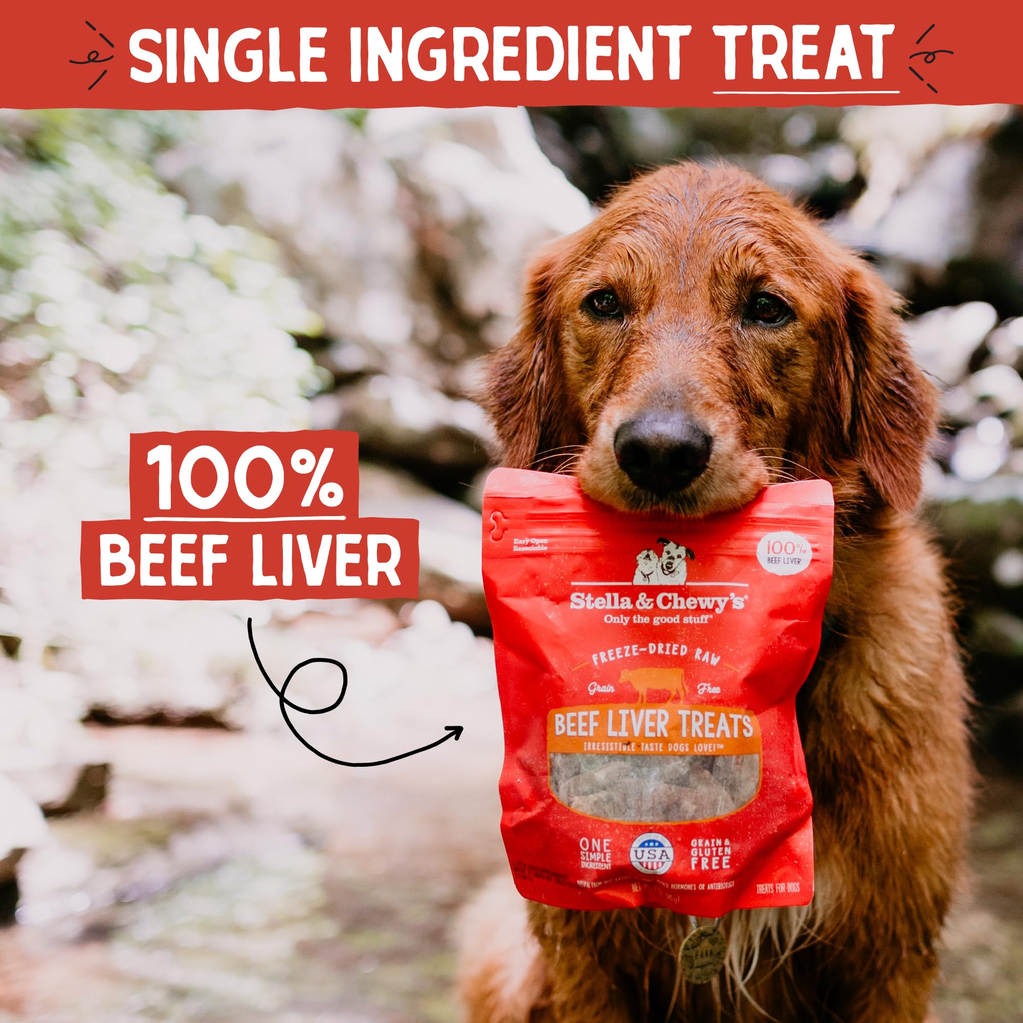 Stella & Chewys Freeze-Dried Raw Single Ingredient Beef Liver Treats, 3 oz. Bag