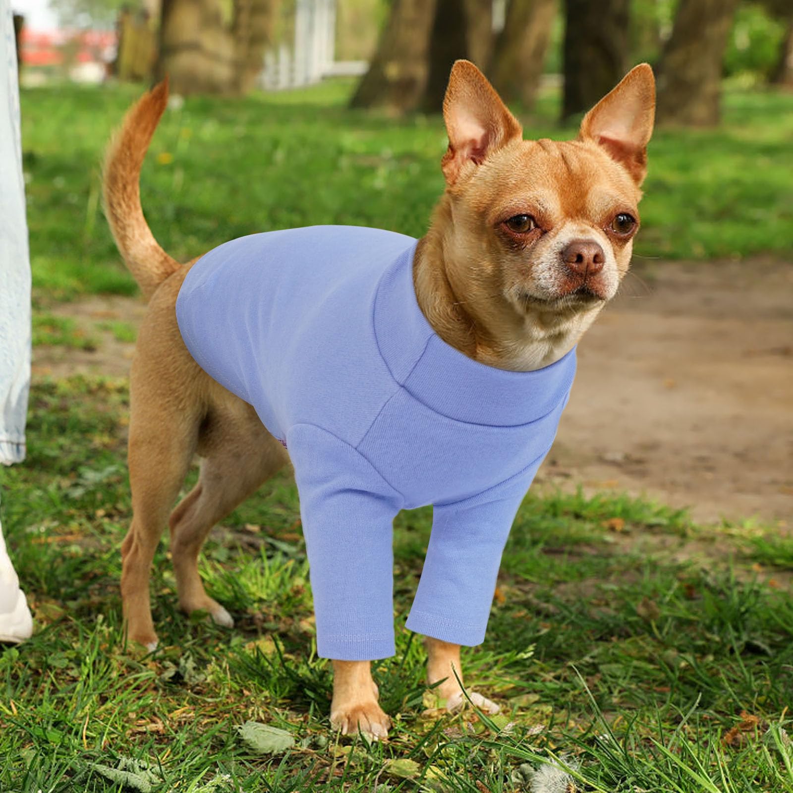 2 Pack L Letsqk Comfortable Simple Designed Long-Sleeve Dog Tee For Small Breeds, Preventing Dogs From Losing Temperature After