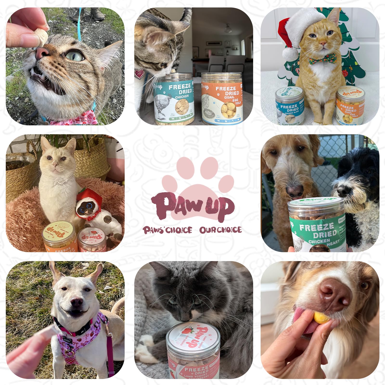 PAWUP Freeze Dried Sheep Milk Yogurt Flavor with Strawberry,Gentle Sheep Milk Dog Treats for Sensitive Stomachs Puppies, 2.8 oz