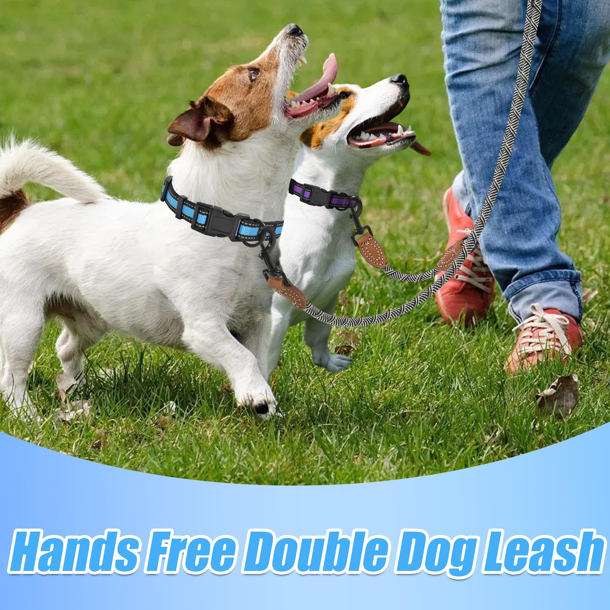 Mile High Life | Double Dogs Rope Leash | Dog Slip Lead | Dual Configuration | Mountain Climbing Rope W Leather Tailored Connect