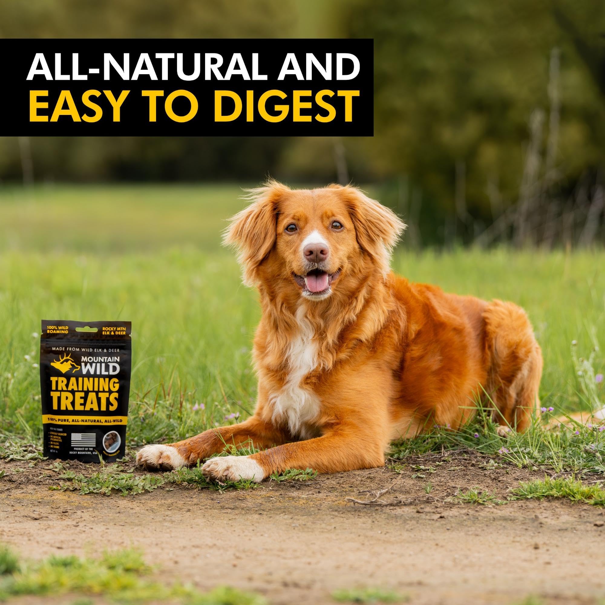MOUNTAIN WILD Training Treat Nibs for Dogs, Elk & Deer Protein, Rewards for Effective Dog Training, All Natural, No Fillers, No