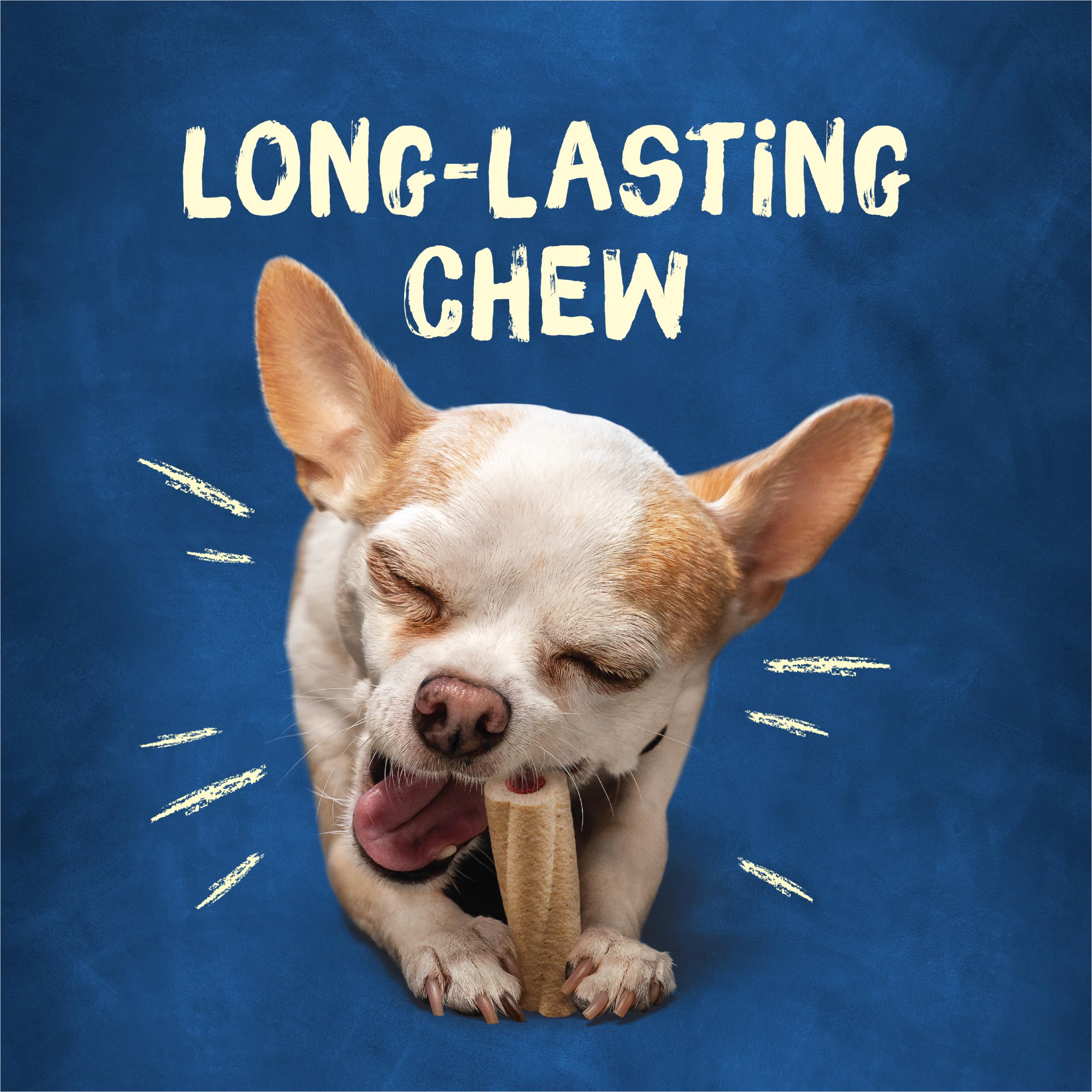 Purina Busy Bone Real Meat Dog Treats Tiny