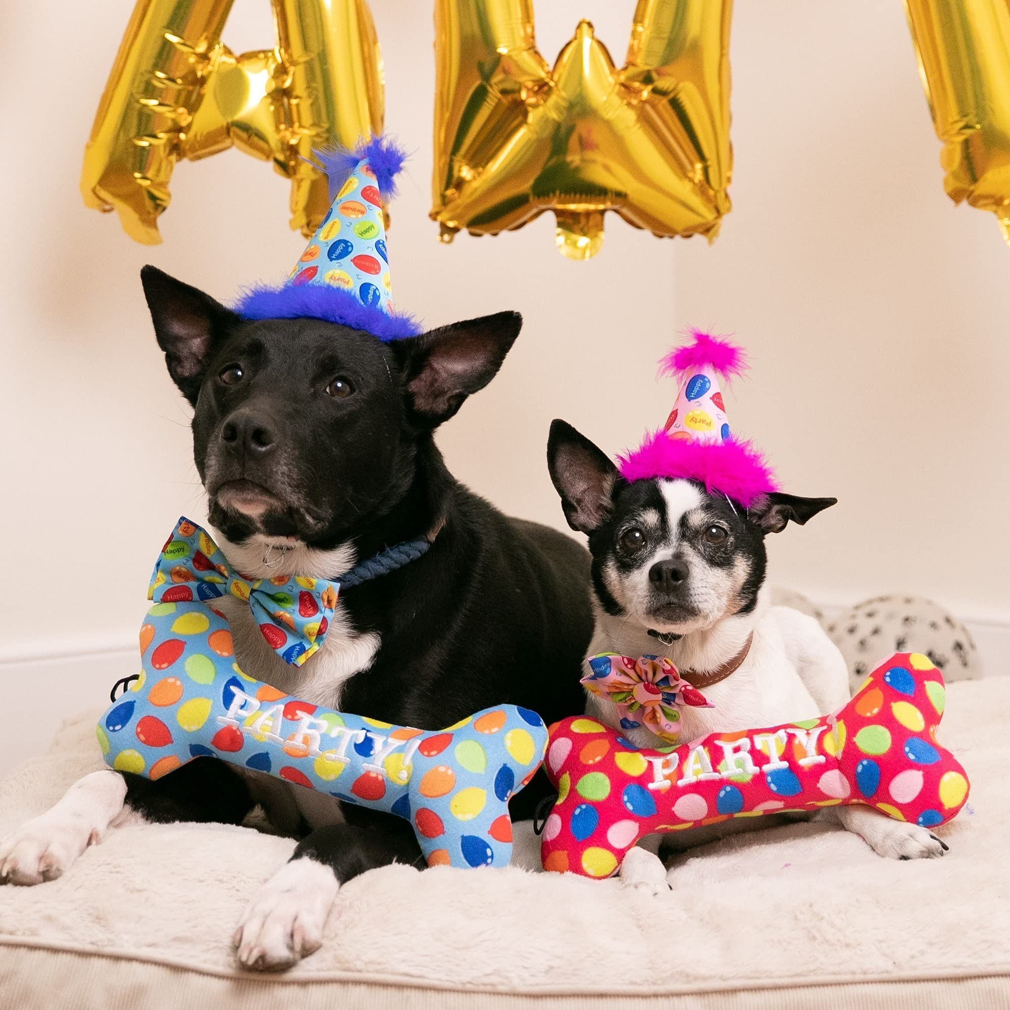 Huxley & Kent Pet Party Hat - Blue Party Time (Large) - Birthday Hat For Dogs And Cats - Adjustable Strap For Comfort And Stabil